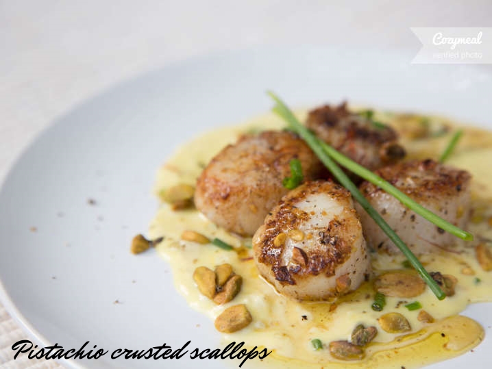 Scallops-with-crusted--C0CC446-2.jpg