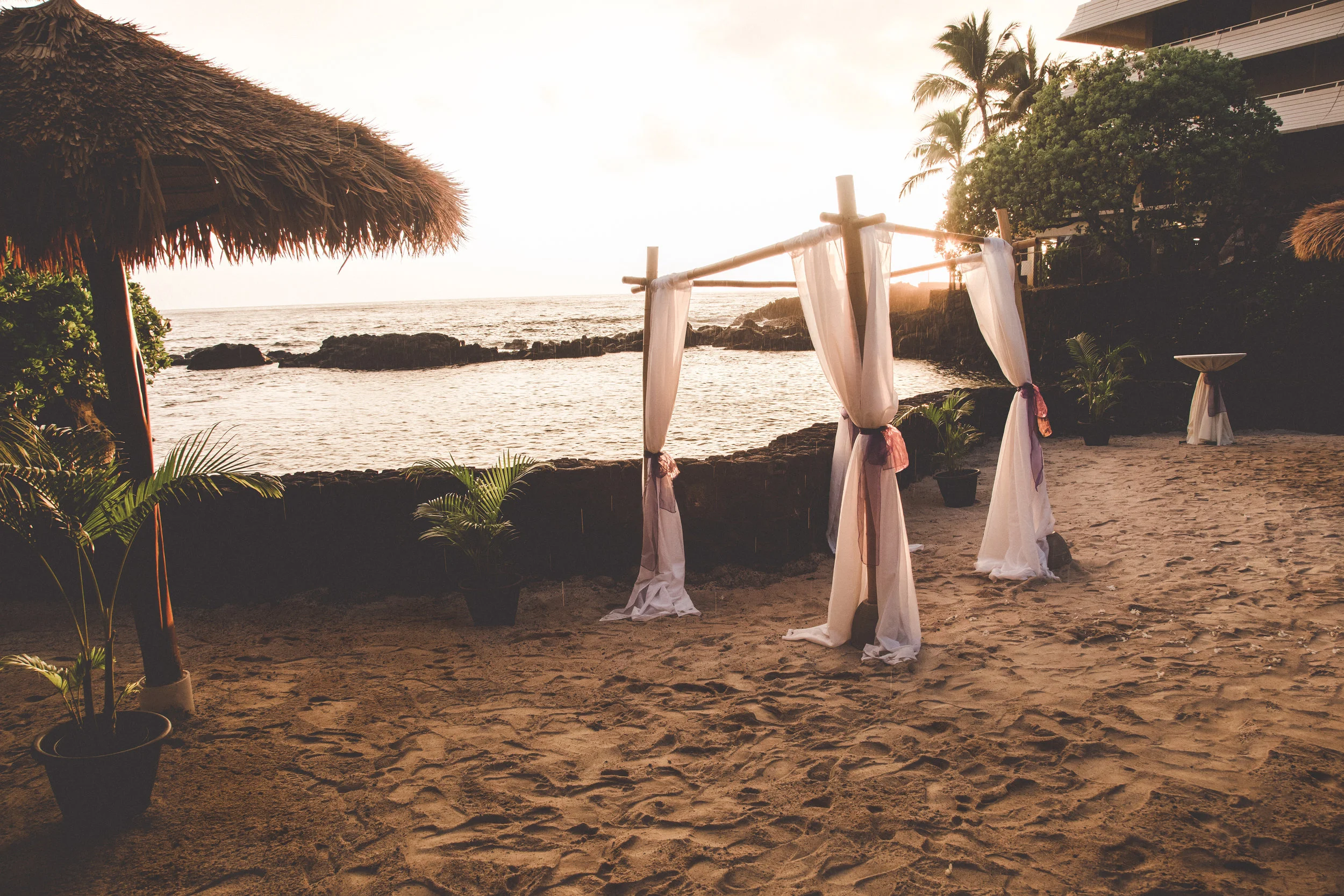 Shannon and Justin Udy's Beautiful Wedding