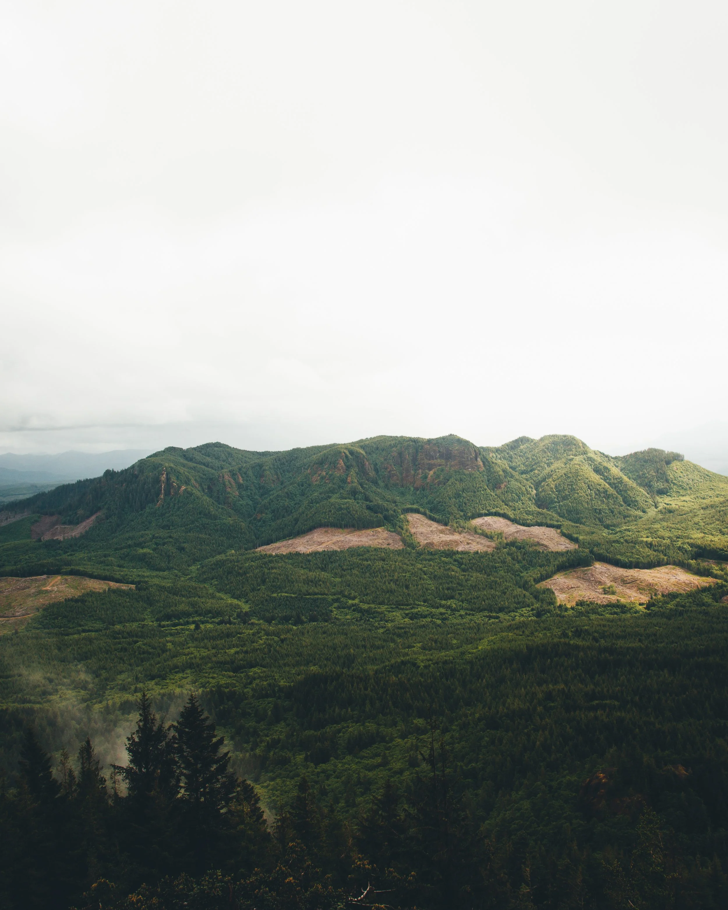SaddleMountainLookout1.jpg