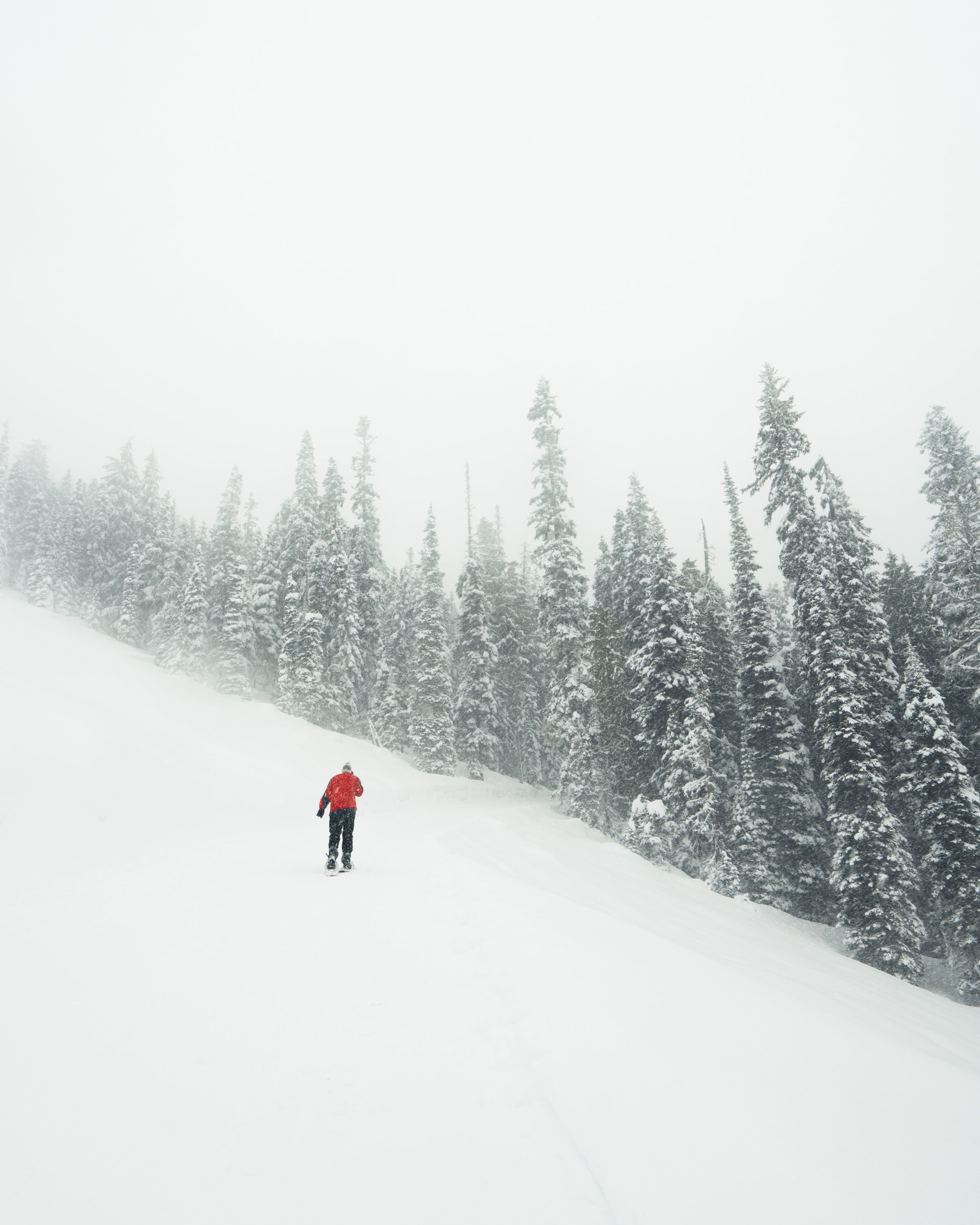DadWhitePass1.jpg