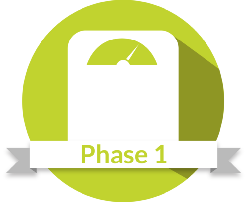 Icon-phase-1-e1502828511757.png