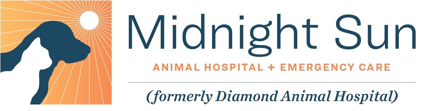Midnight Sun Animal Hospital
