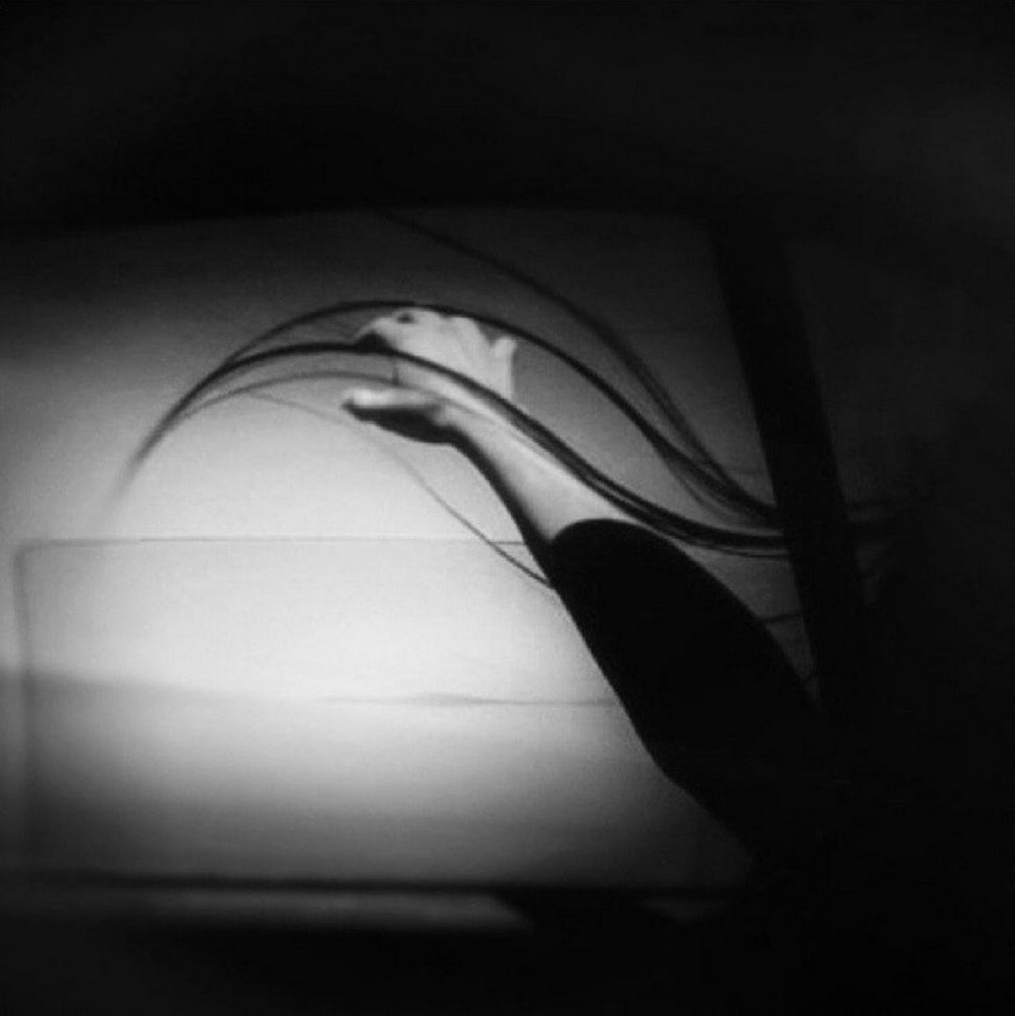 Video: Black and white animation