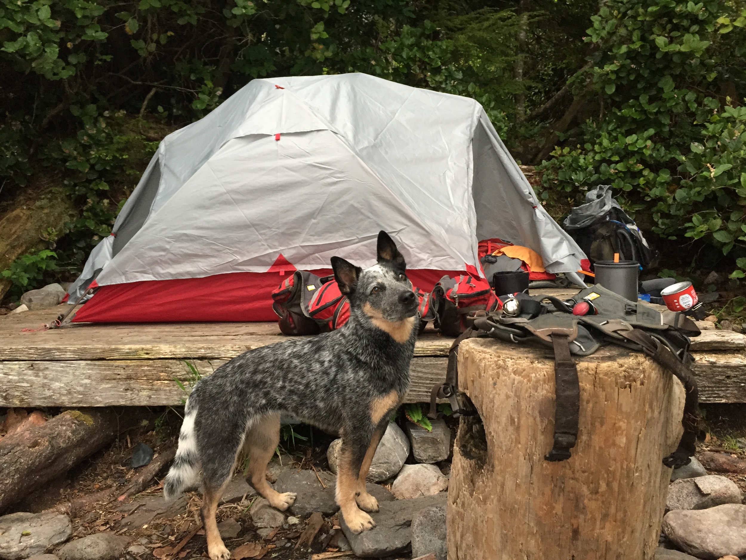 Juan de hot sale fuca trail camping