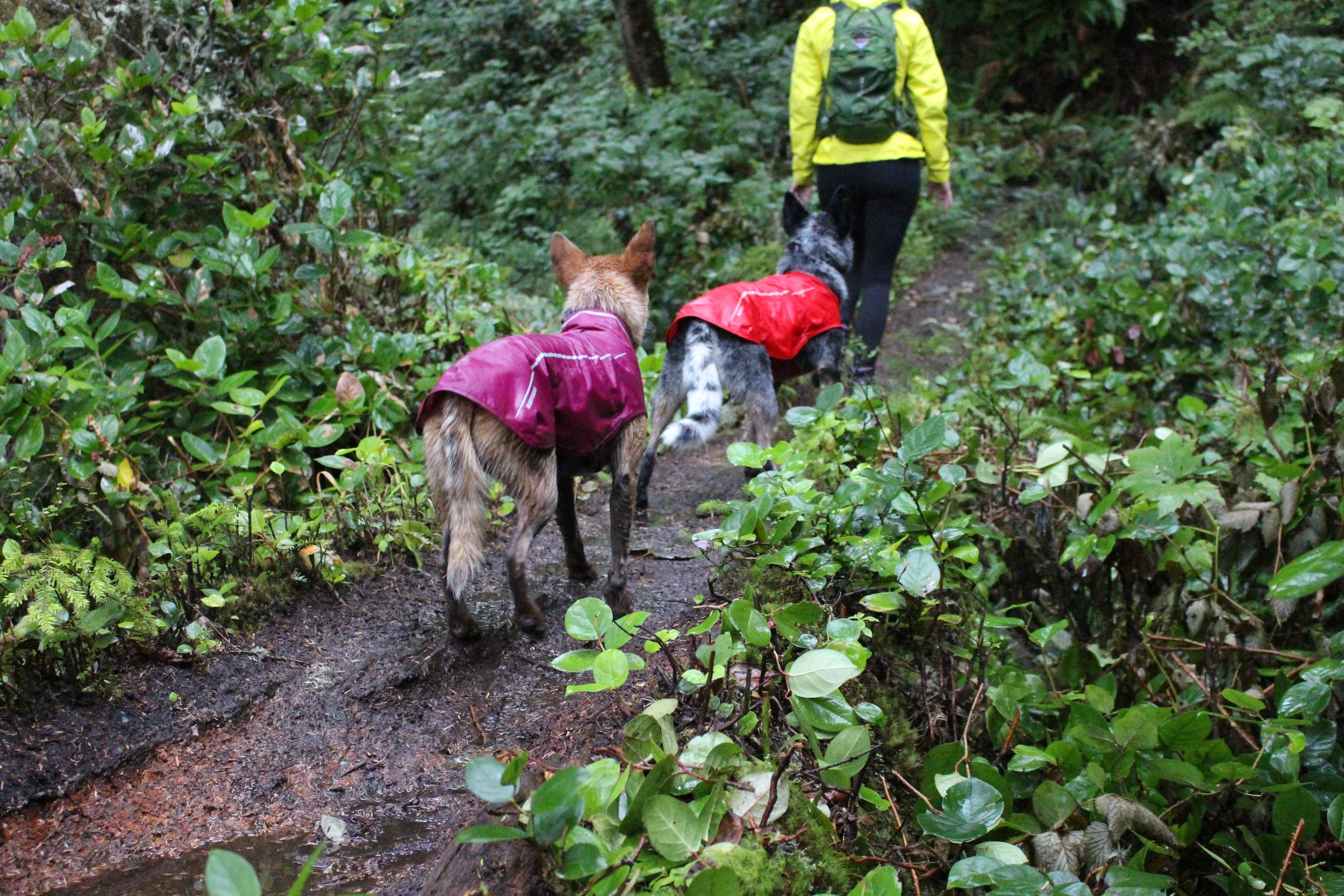 ruffwear sun shower