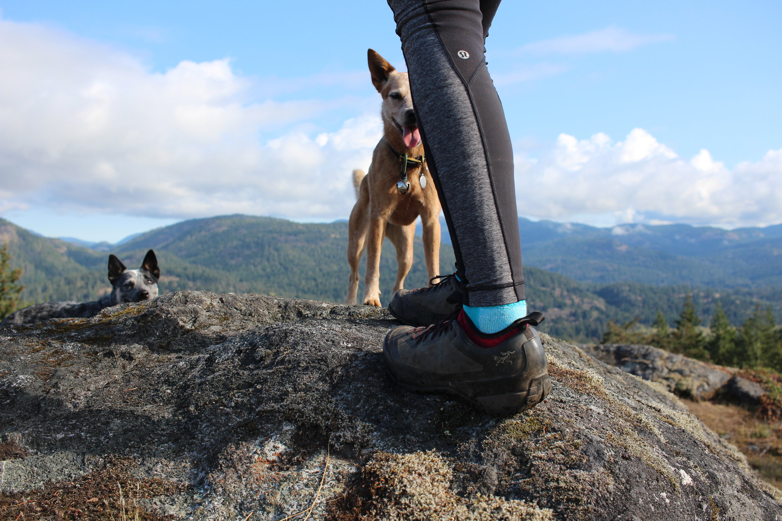 Arc'teryx Acrux FL GTX Approach Shoe — Engaged K9