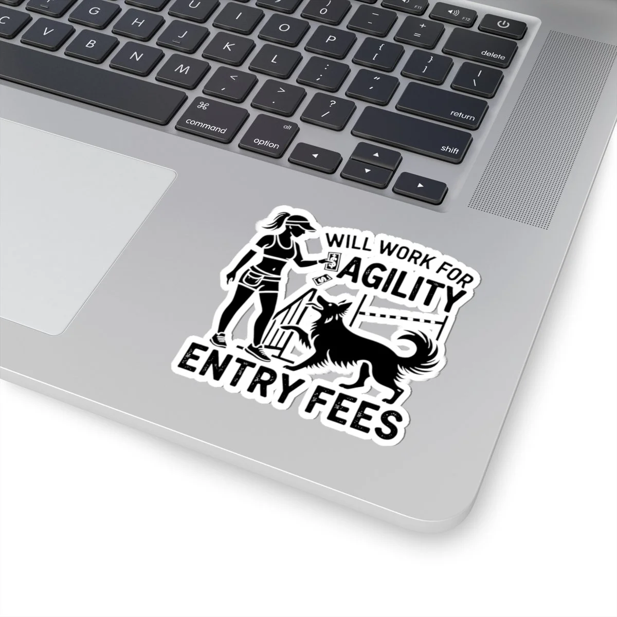 100ad8ab2aa4c4147b06b82fbda90951