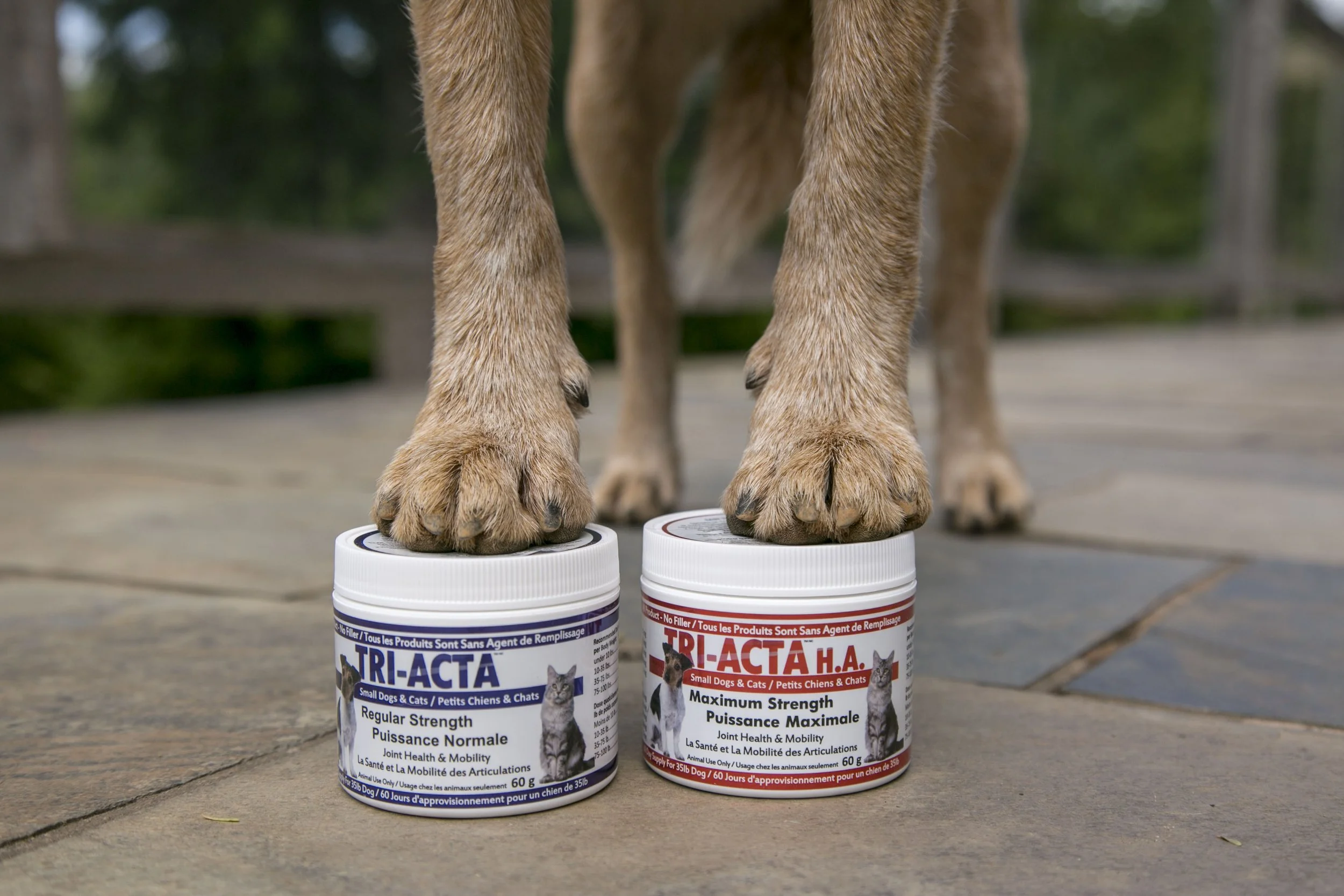 DISCOUNTS — Engaged K9