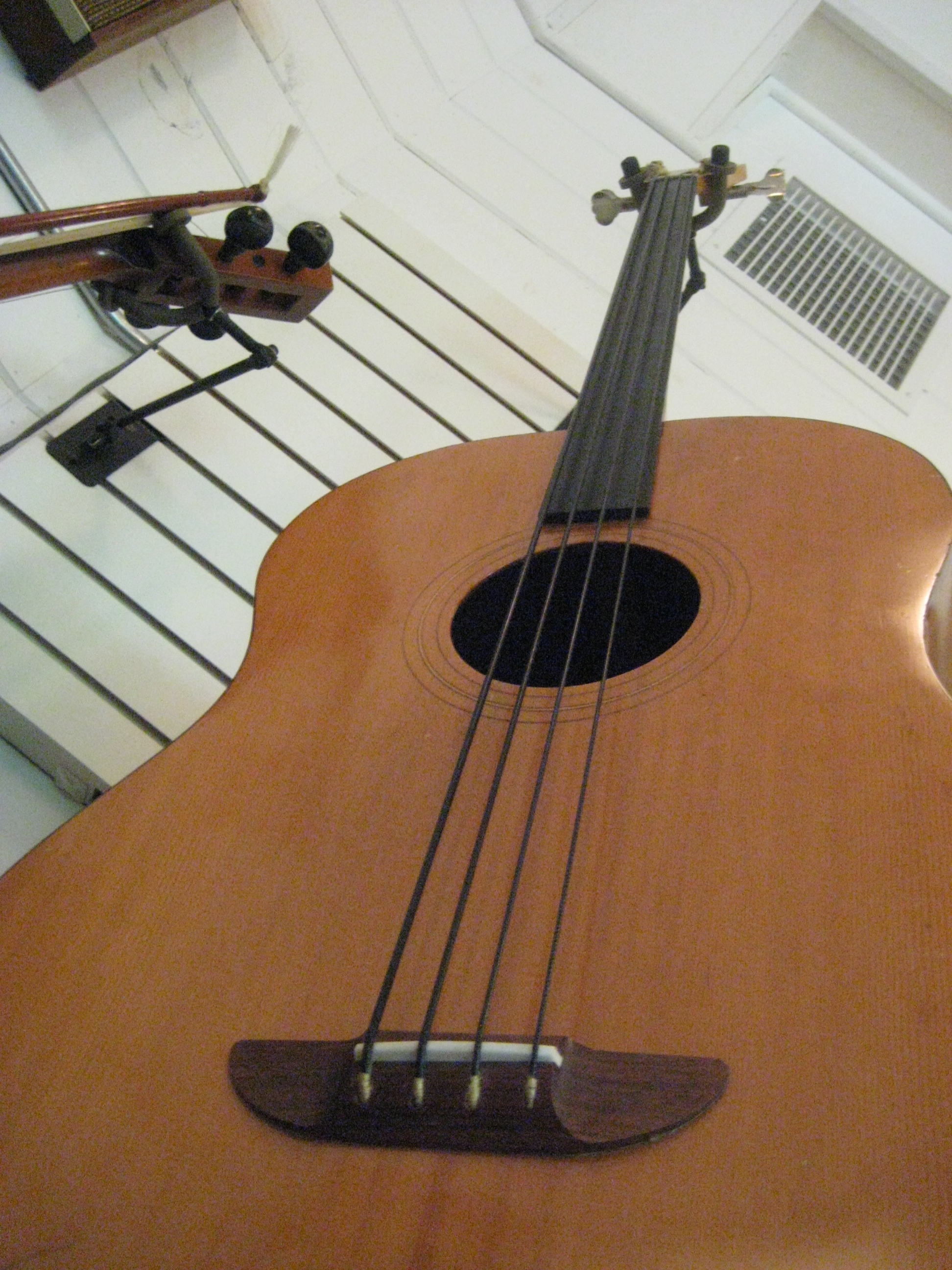 Fretless Earthwood Bass with tapewound strings