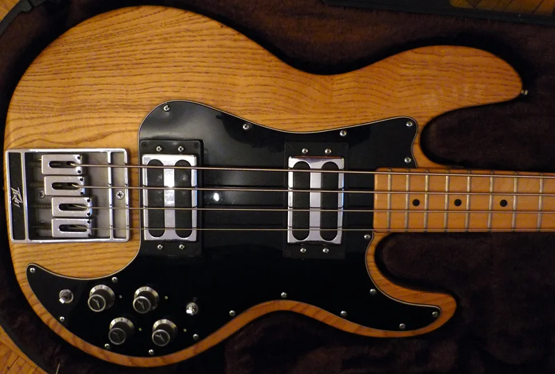 A Peavey T-40... Just what mine looked like before I had the frets ripped off. I stole this pic from someone's sale ad, OK?