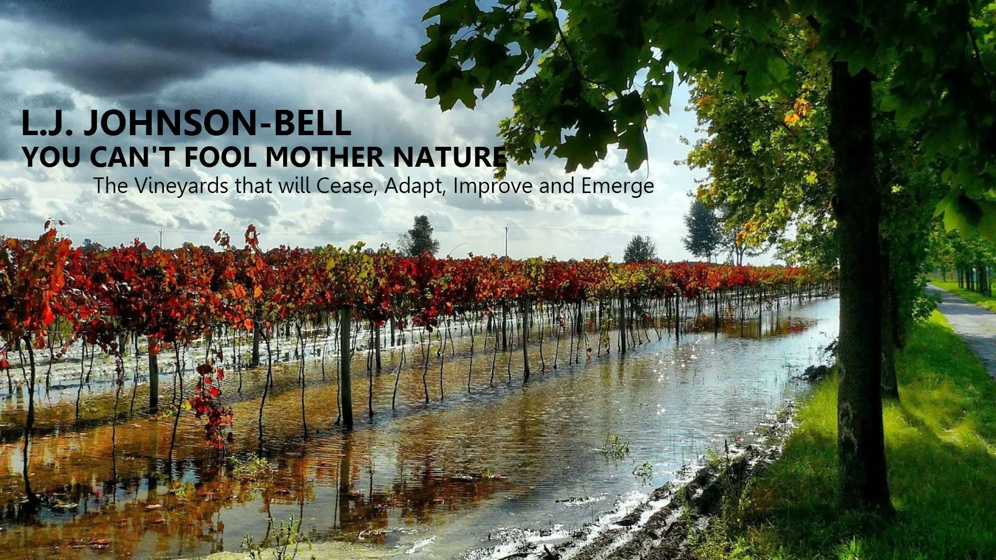 Ebook climate cover.jpg