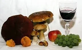 wine and mushroom.jpg