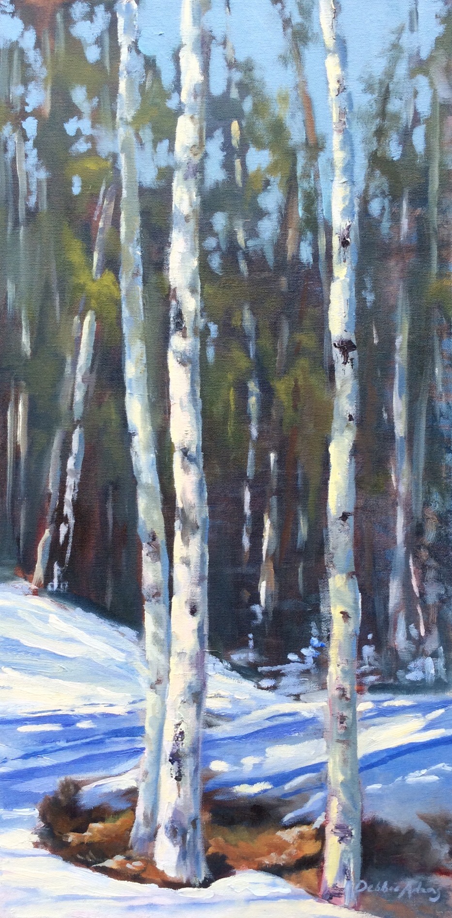 Aspen Stand 24x12 oil