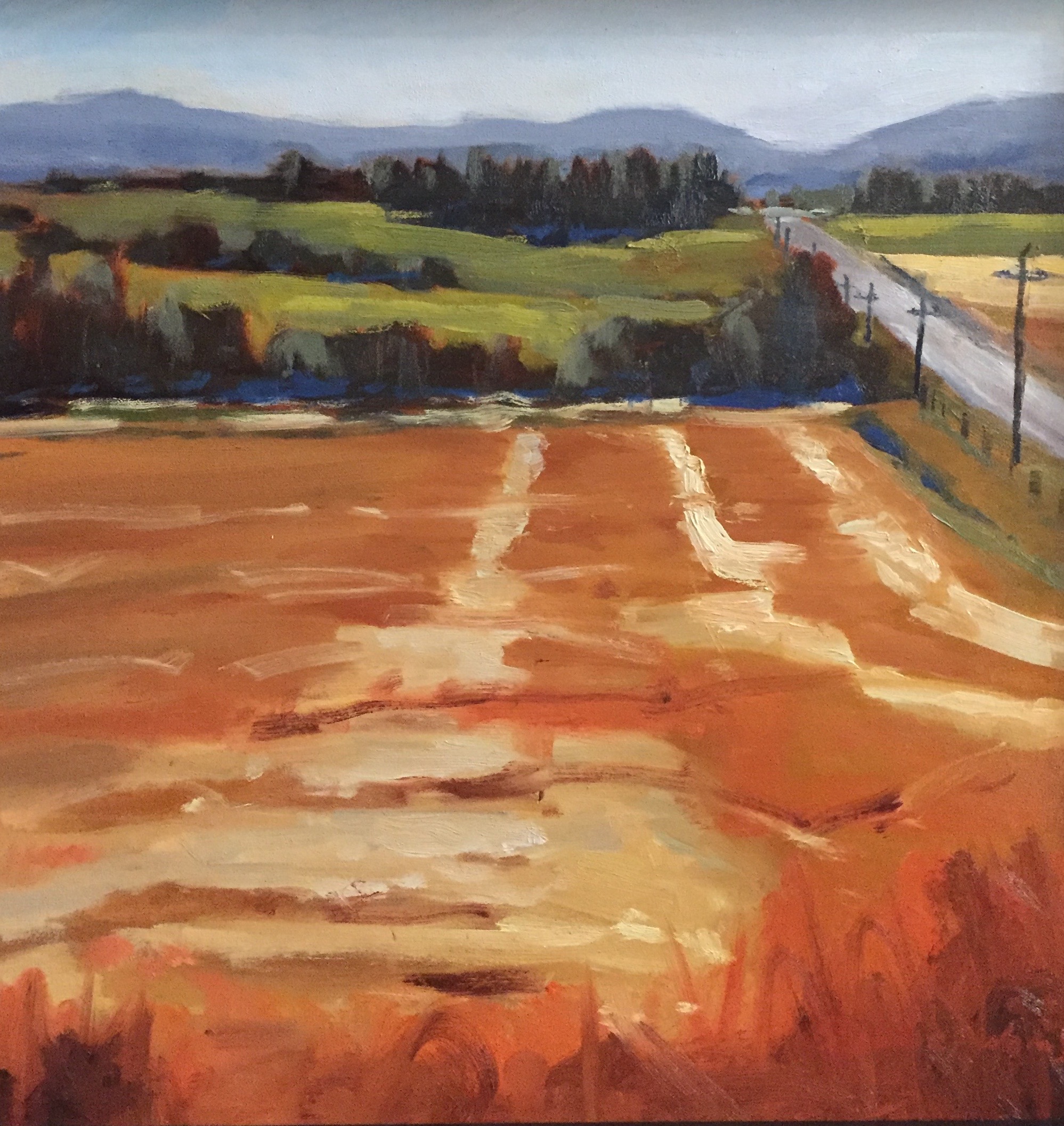Harvest 12x12 Oil