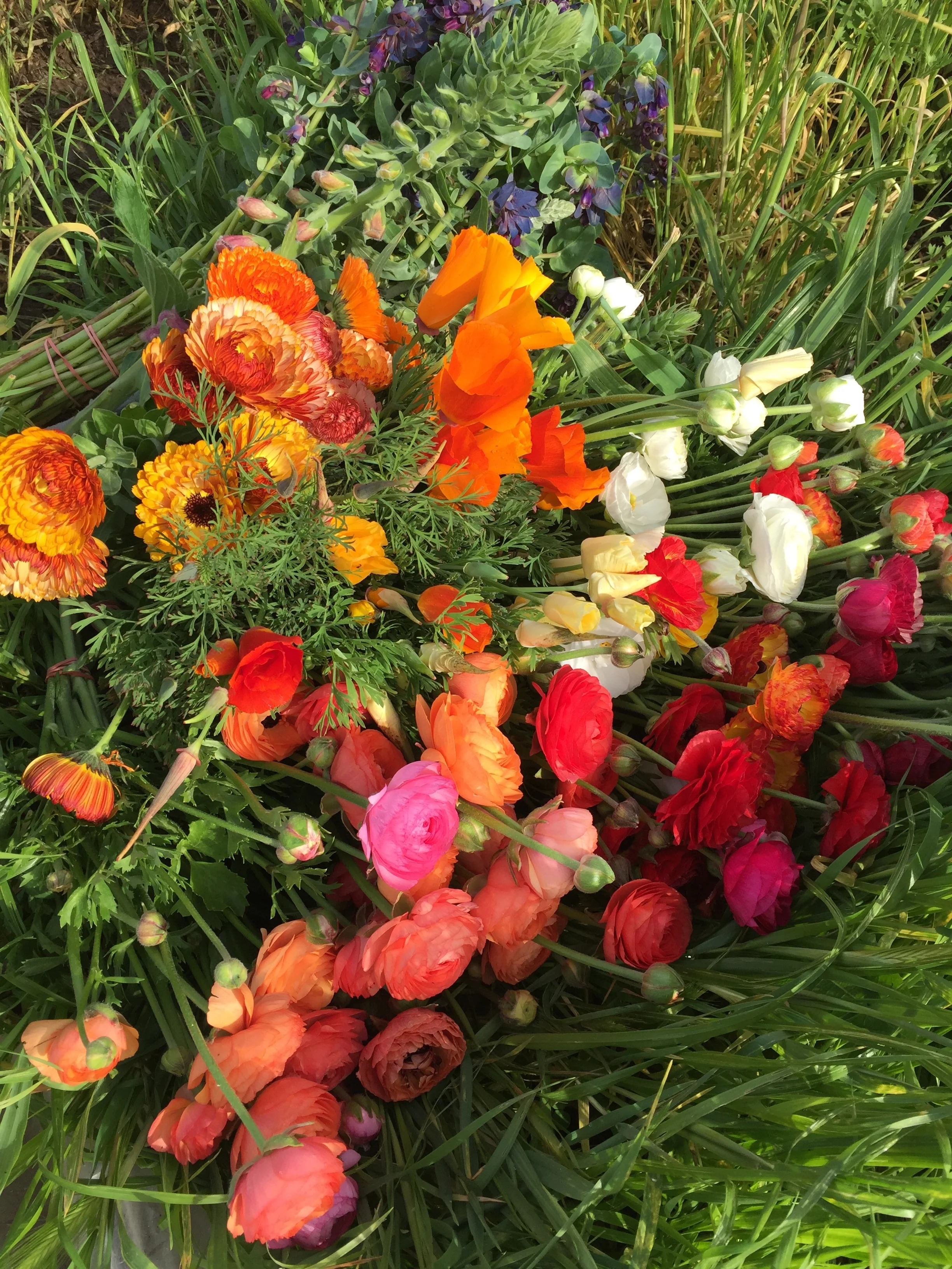 harvests for designers