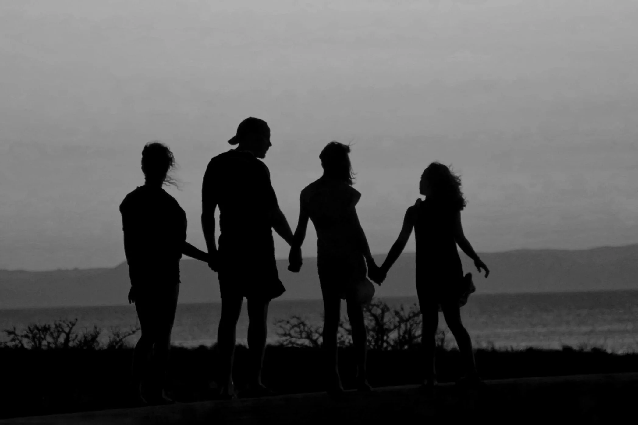 The Healthy Family Impact  