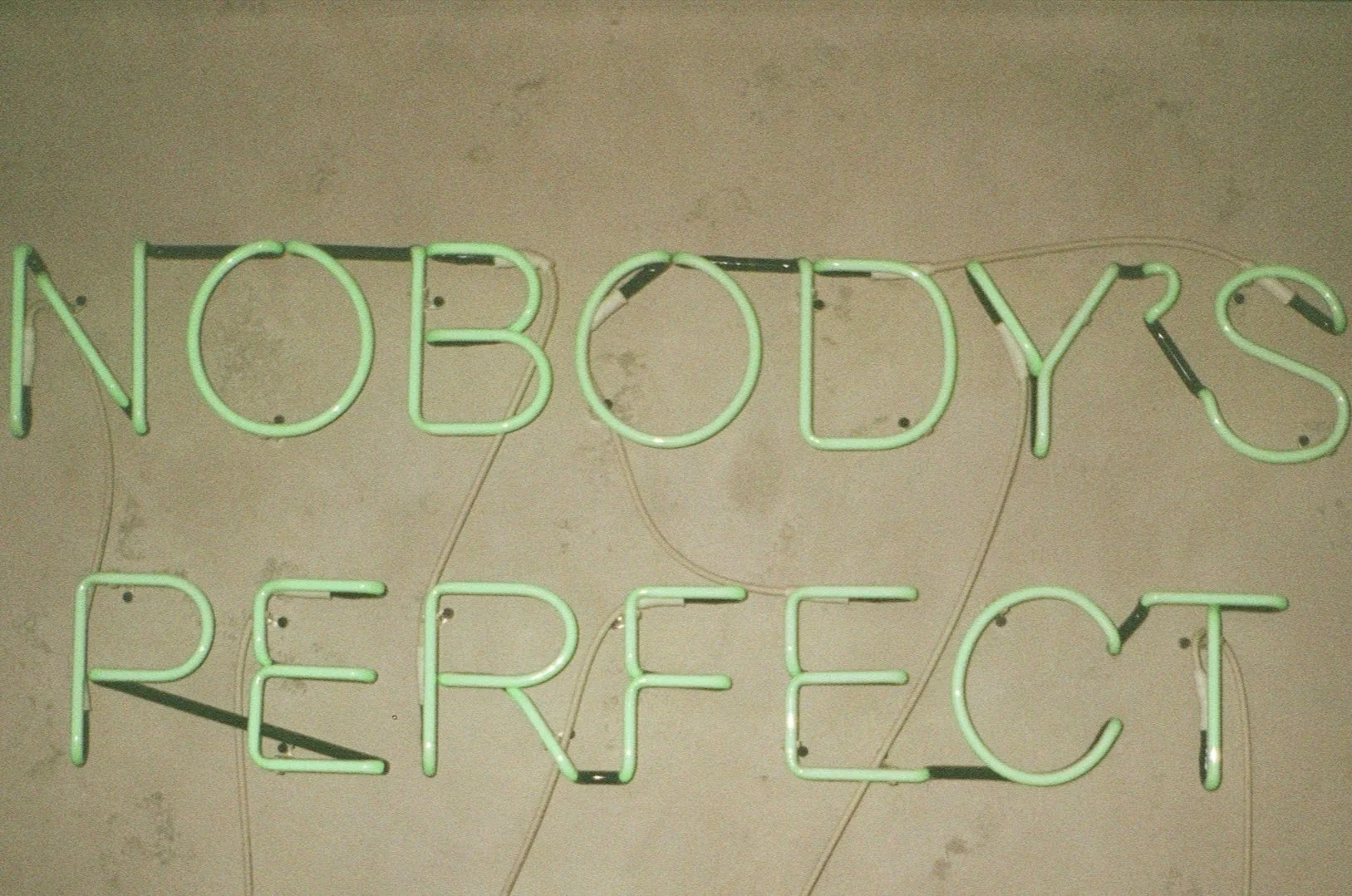 The Perfect Youth Leader