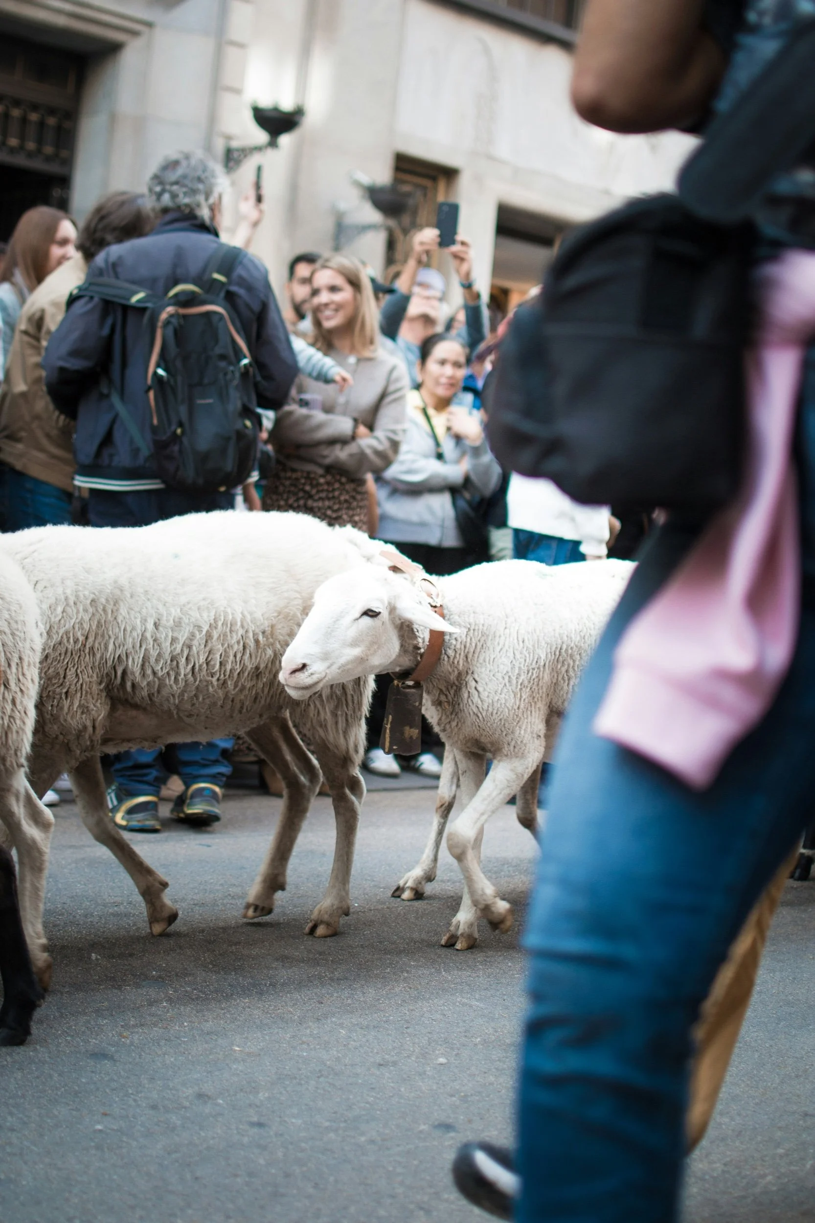 Next GEN Leaders and the Bellwether Effect