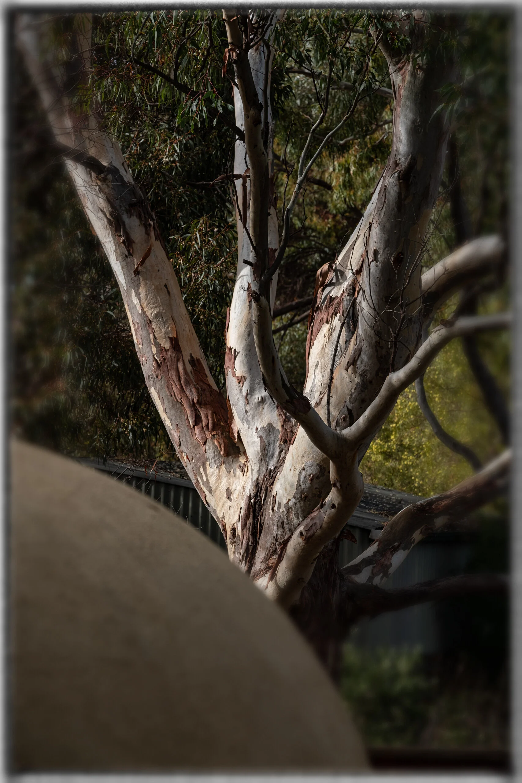 DSCF1613-Edit.jpg