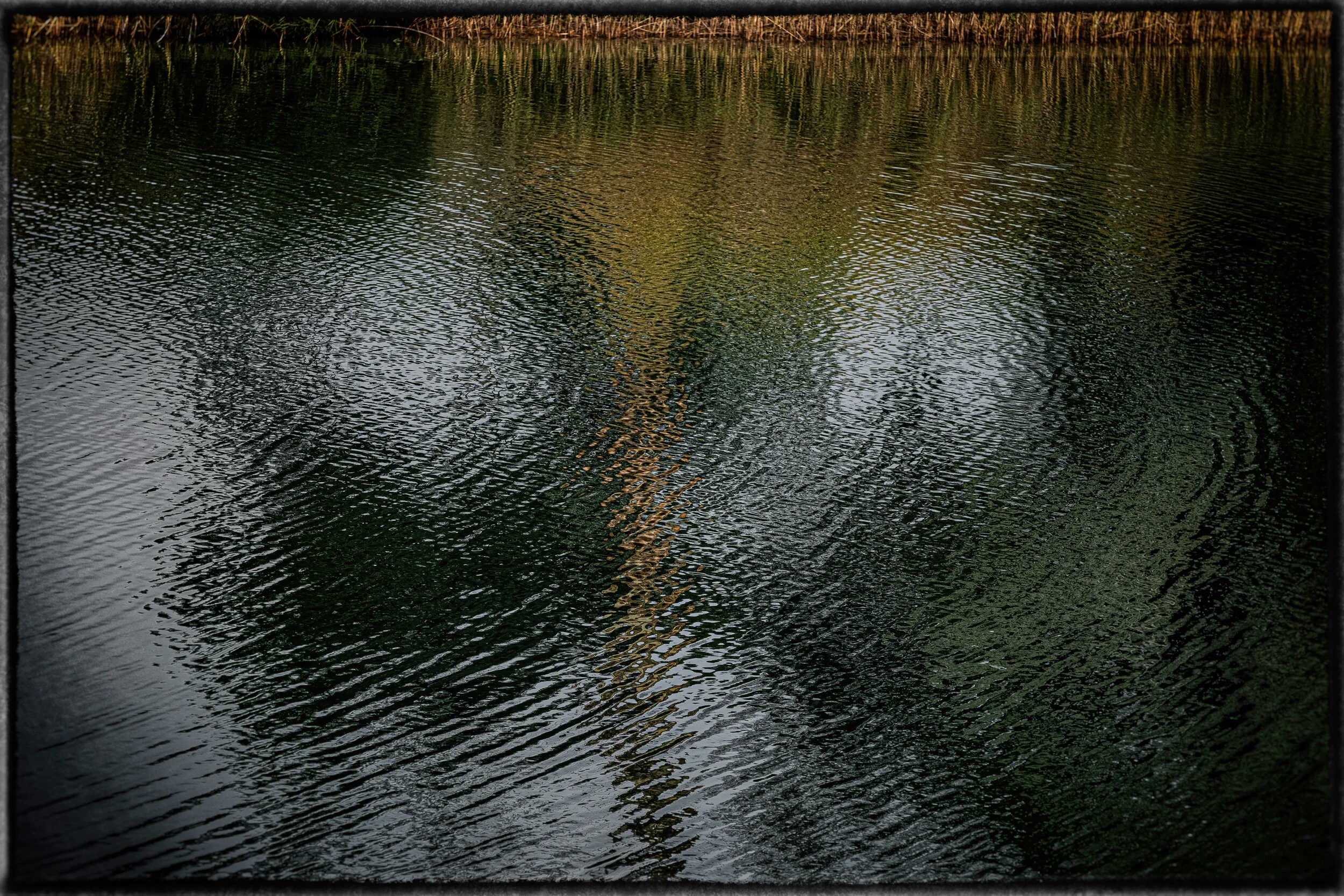 DSCF1610-Edit-Edit-Edit.jpg