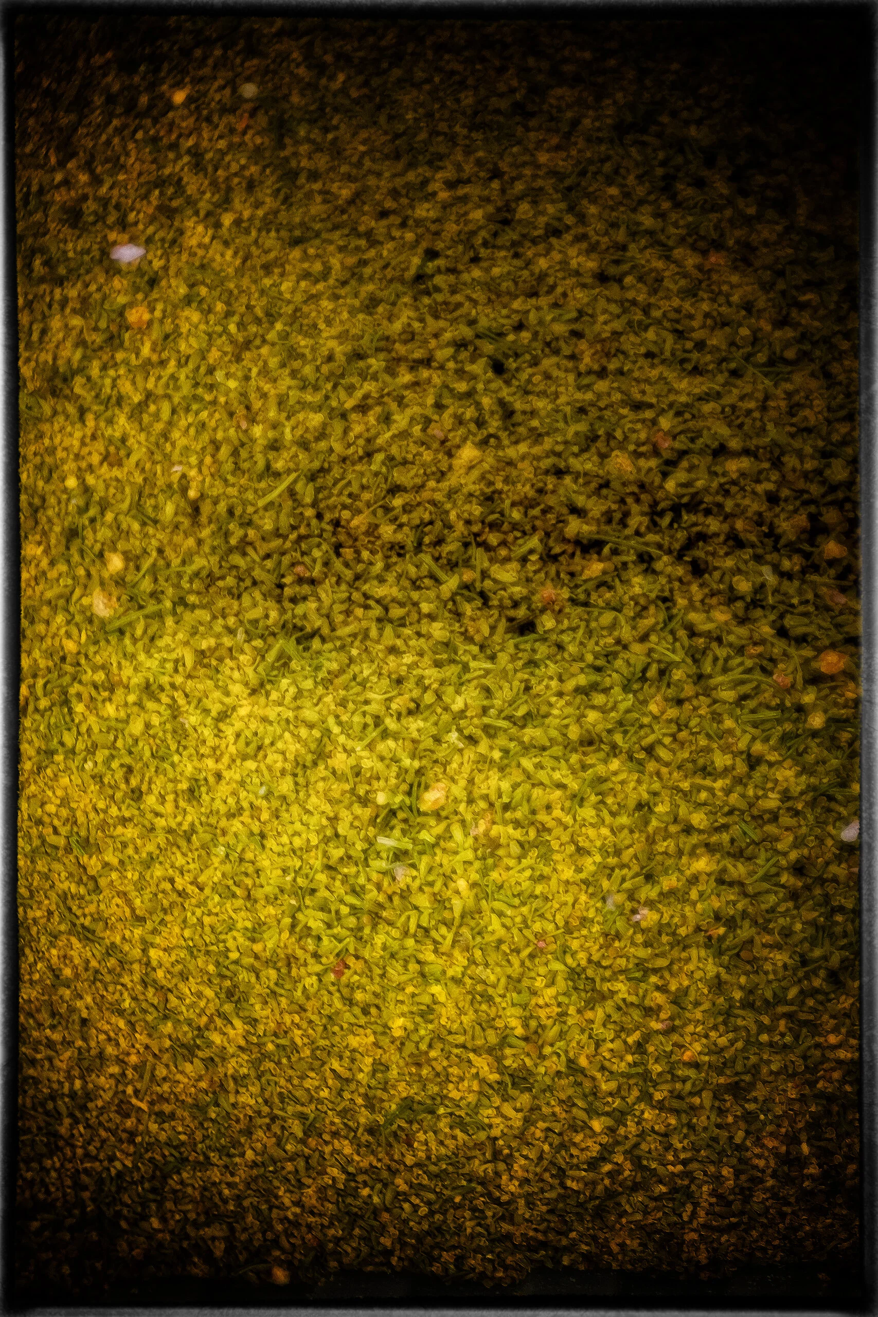 +DSCF0239-Edit-Edit.jpg