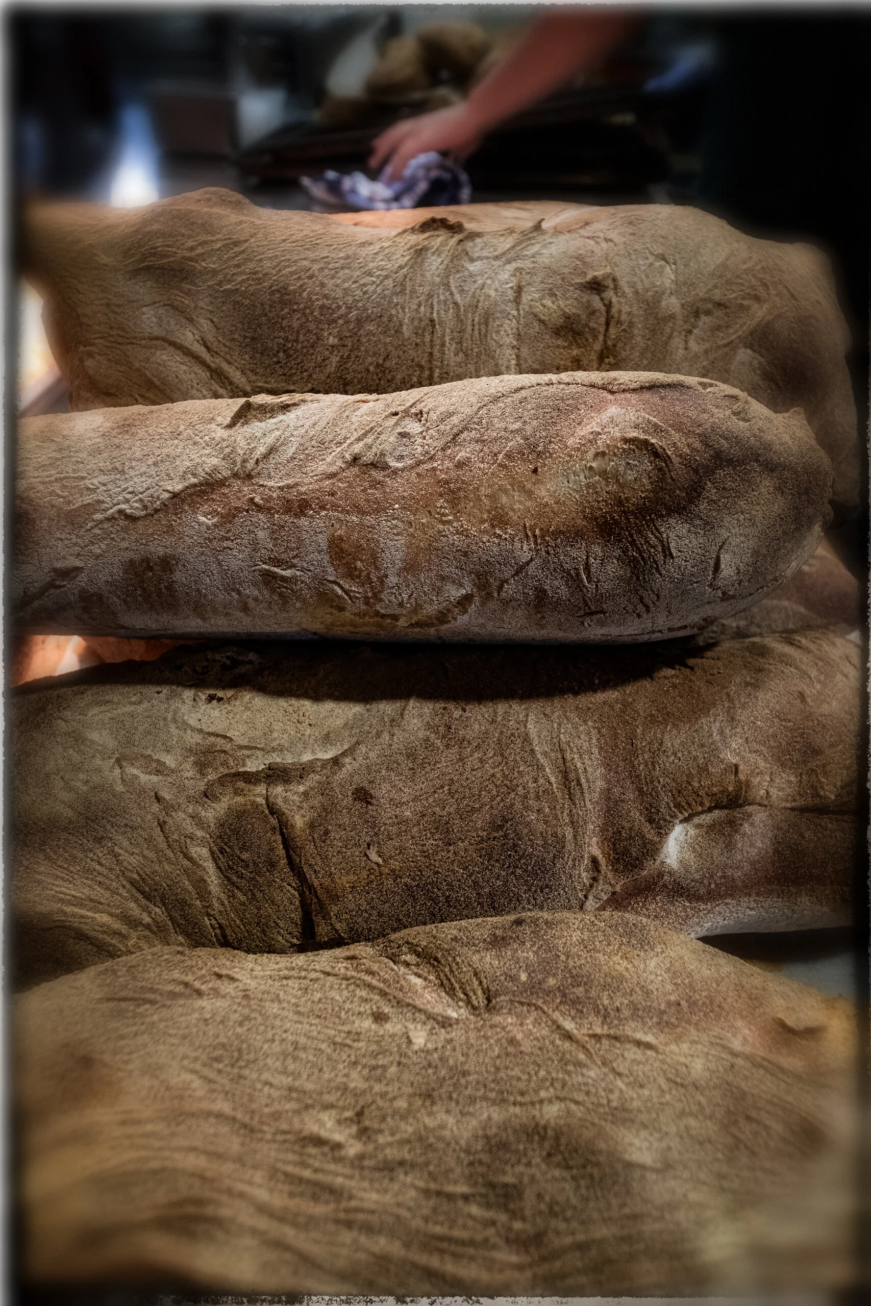 +DSCF1704-Edit-2.jpg