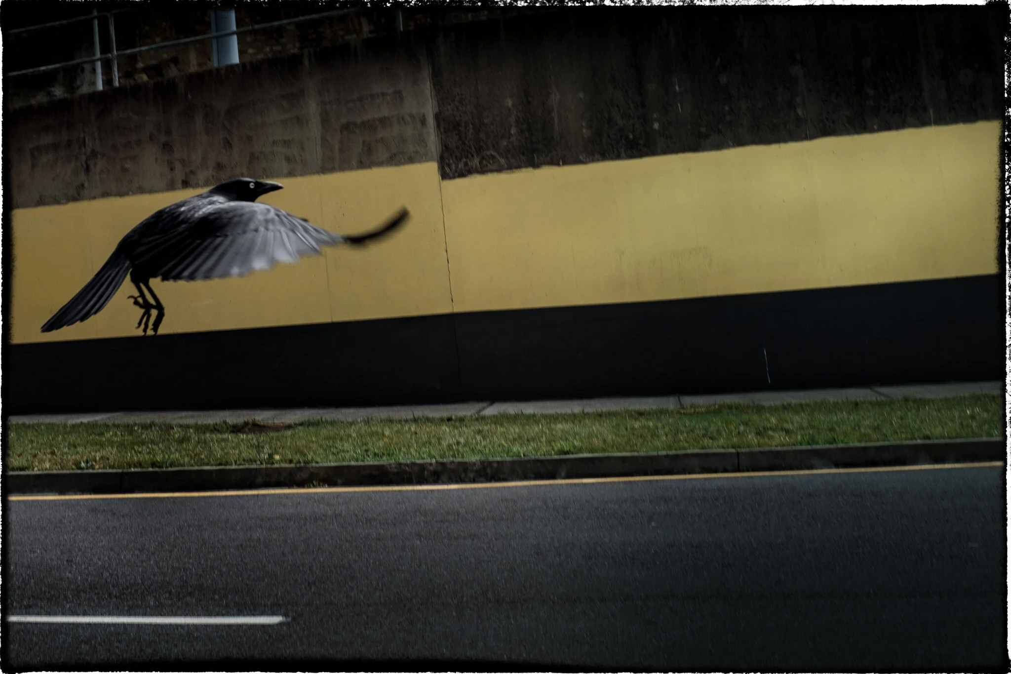 =140824_ZUNDESIGNWEB_2.jpg