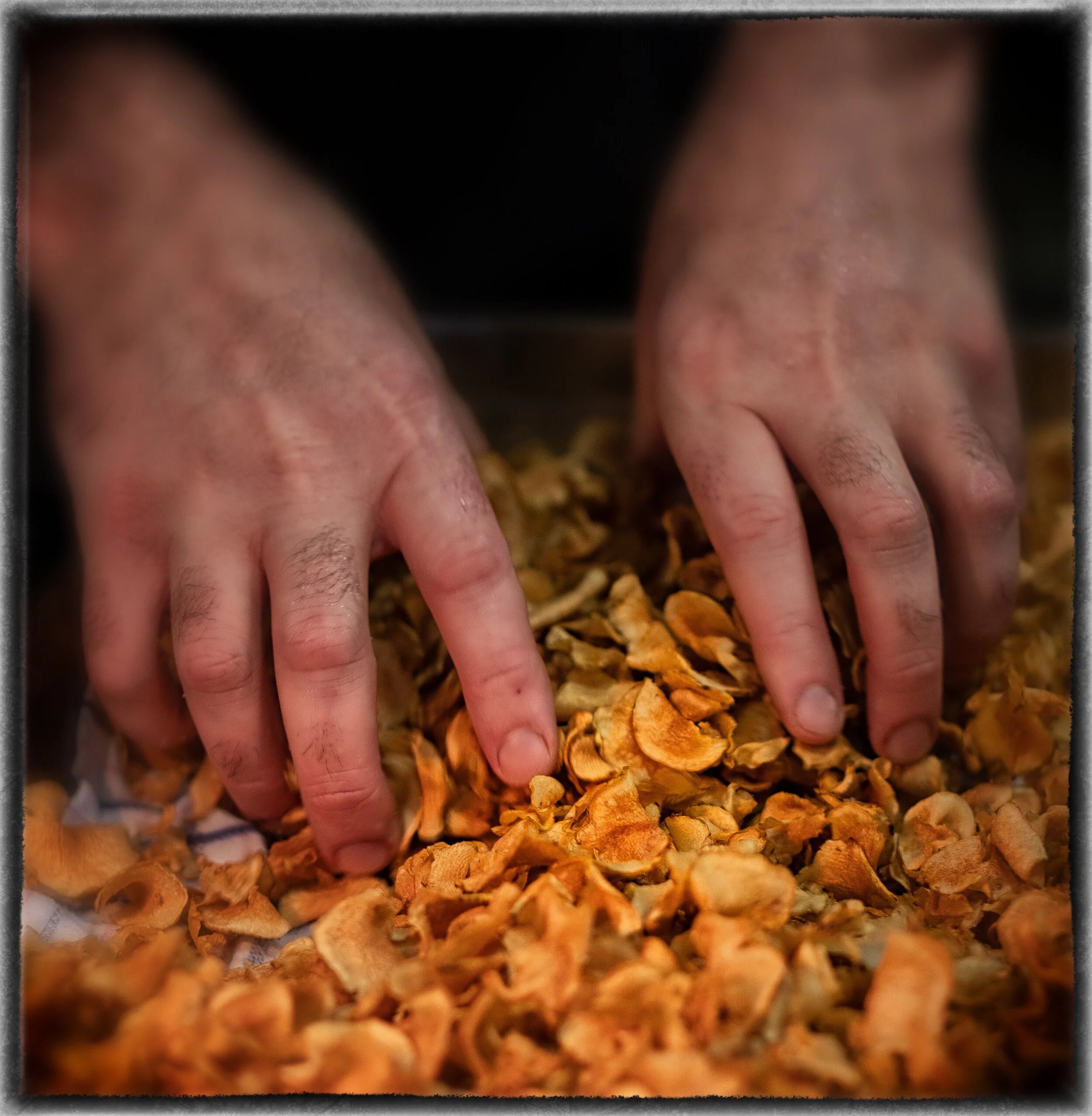DSCF1738-Edit-Edit.jpg