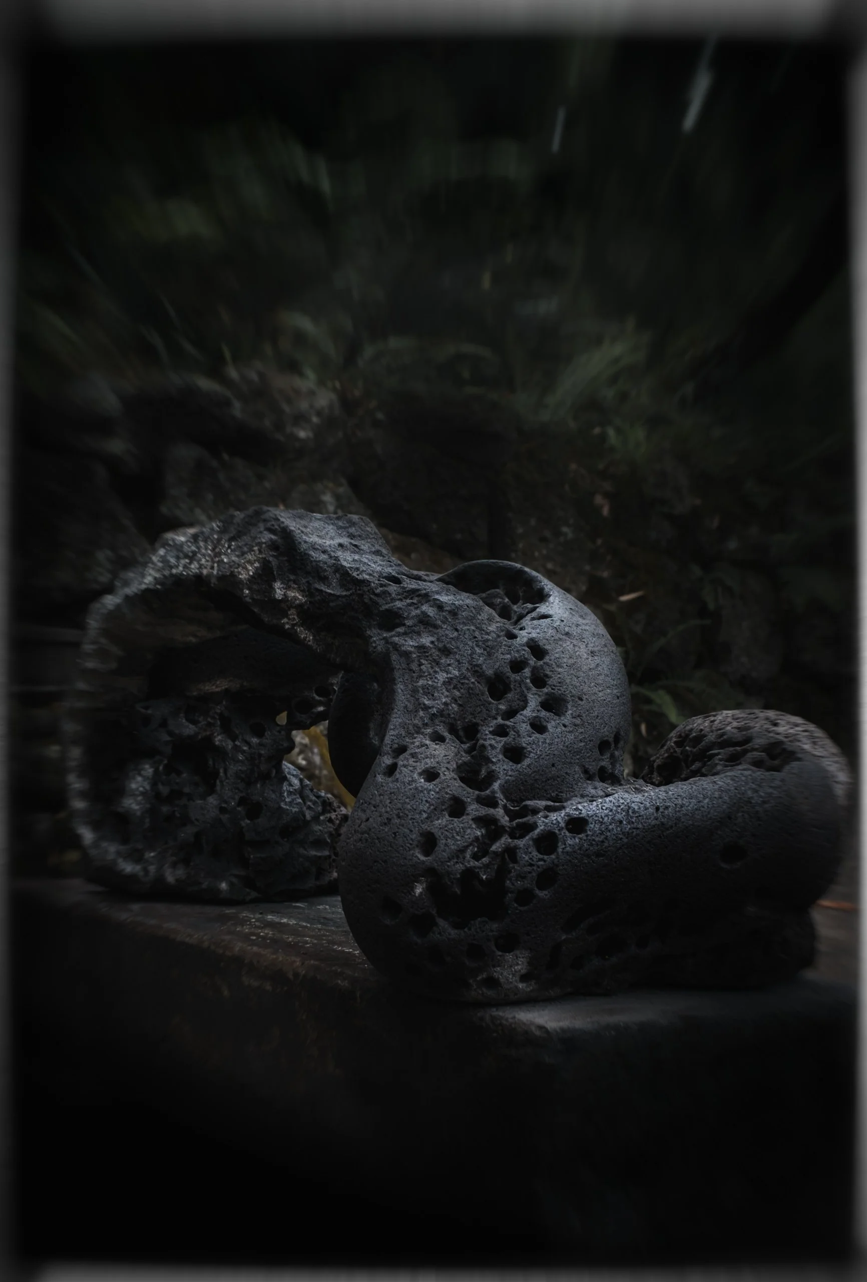 aDSCF9388-Edit-Edit-Edit-Edit-Edit.jpg