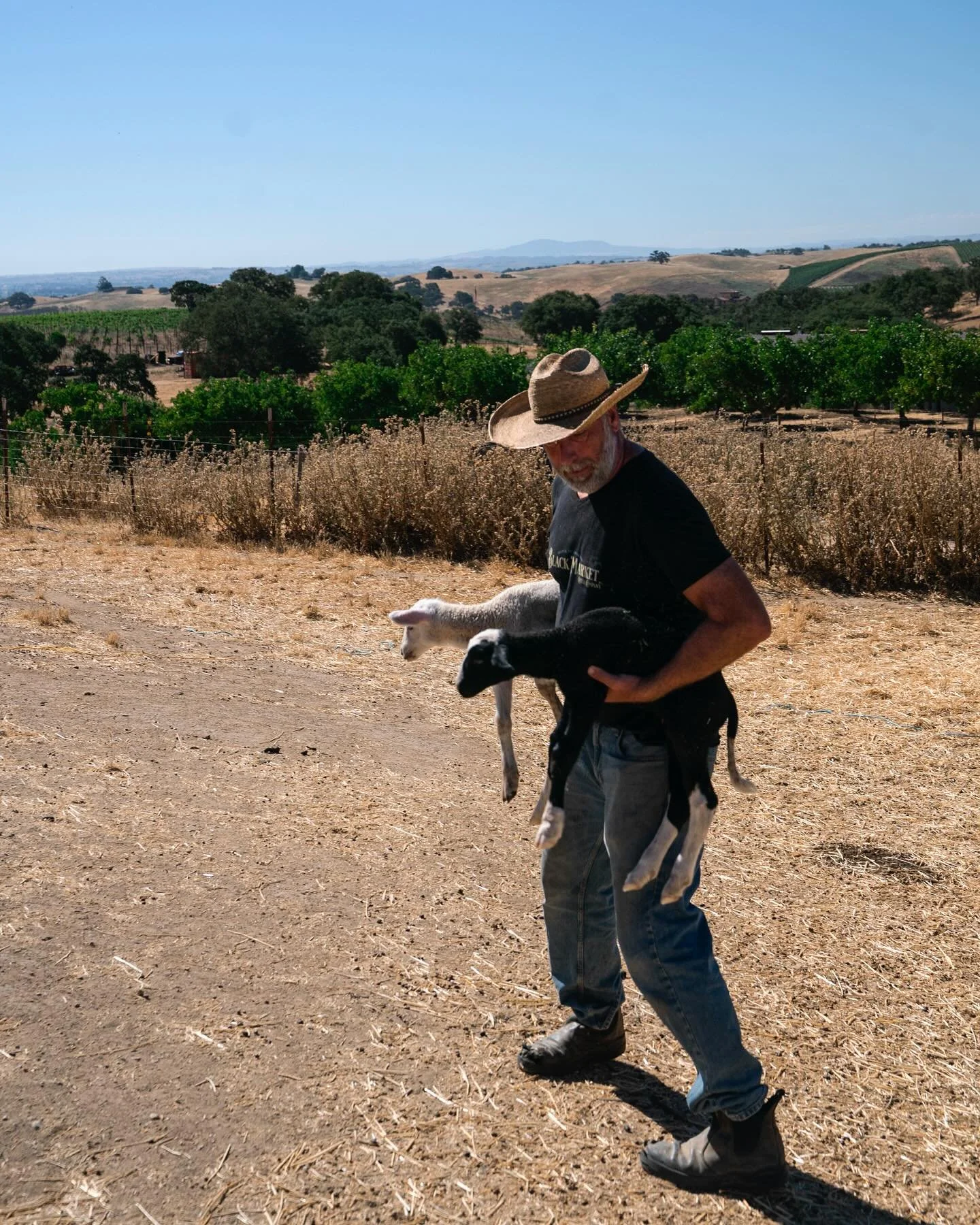 California daydreamin&rsquo; about the agriculture innovators I had the chance to meet on the road.