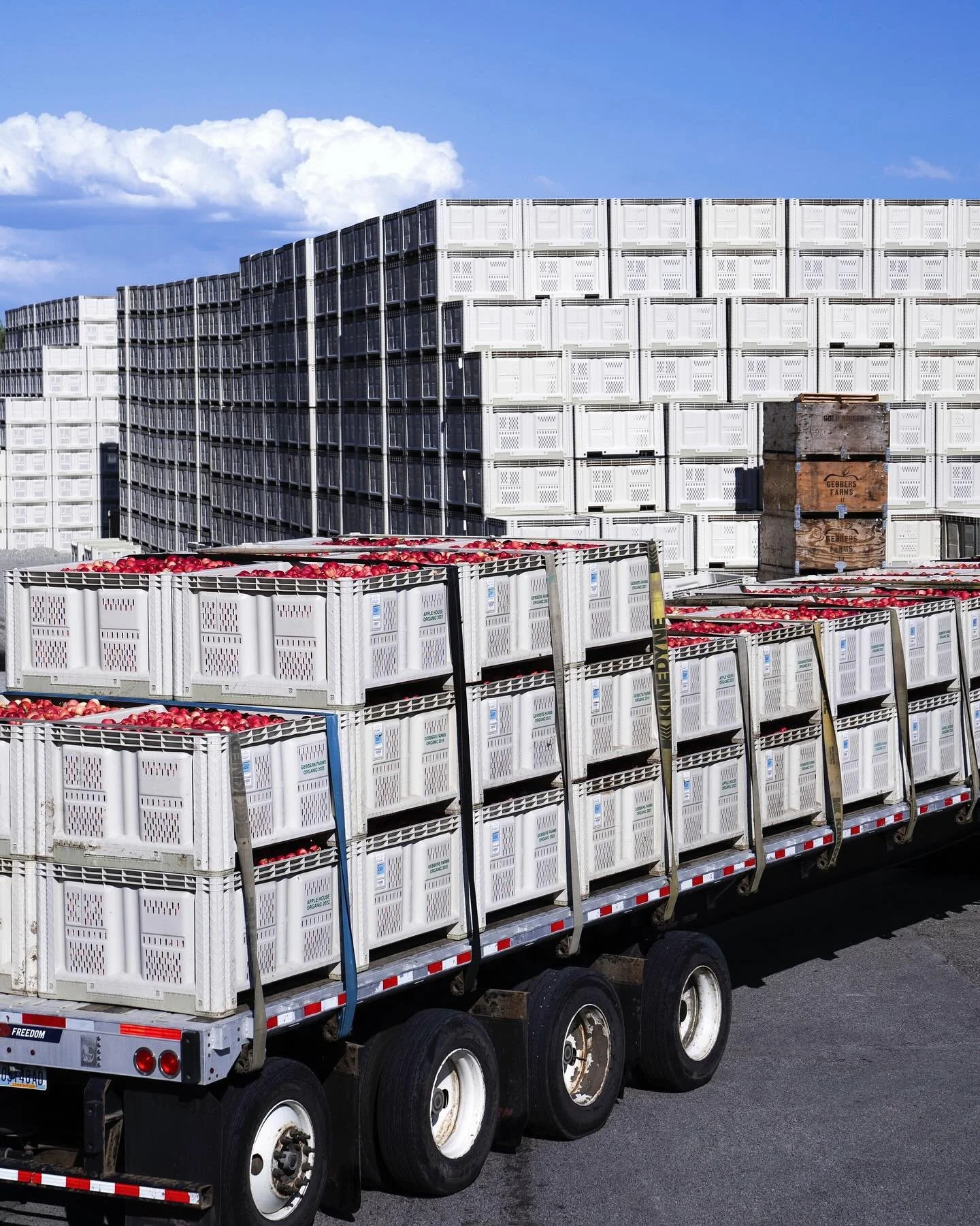 🍎 Washington state is the largest producer of apples in the country.

It was overwhelming observing where over 10 billion apples are handpicked by farm workers each year.