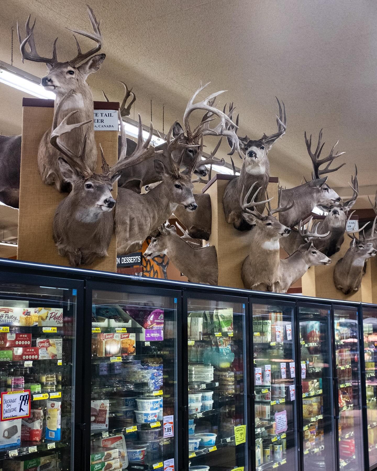 Never a dull moment living on the road. Even when shopping for groceries. 

Hank&rsquo;s Harvest Foods in eastern Washington.