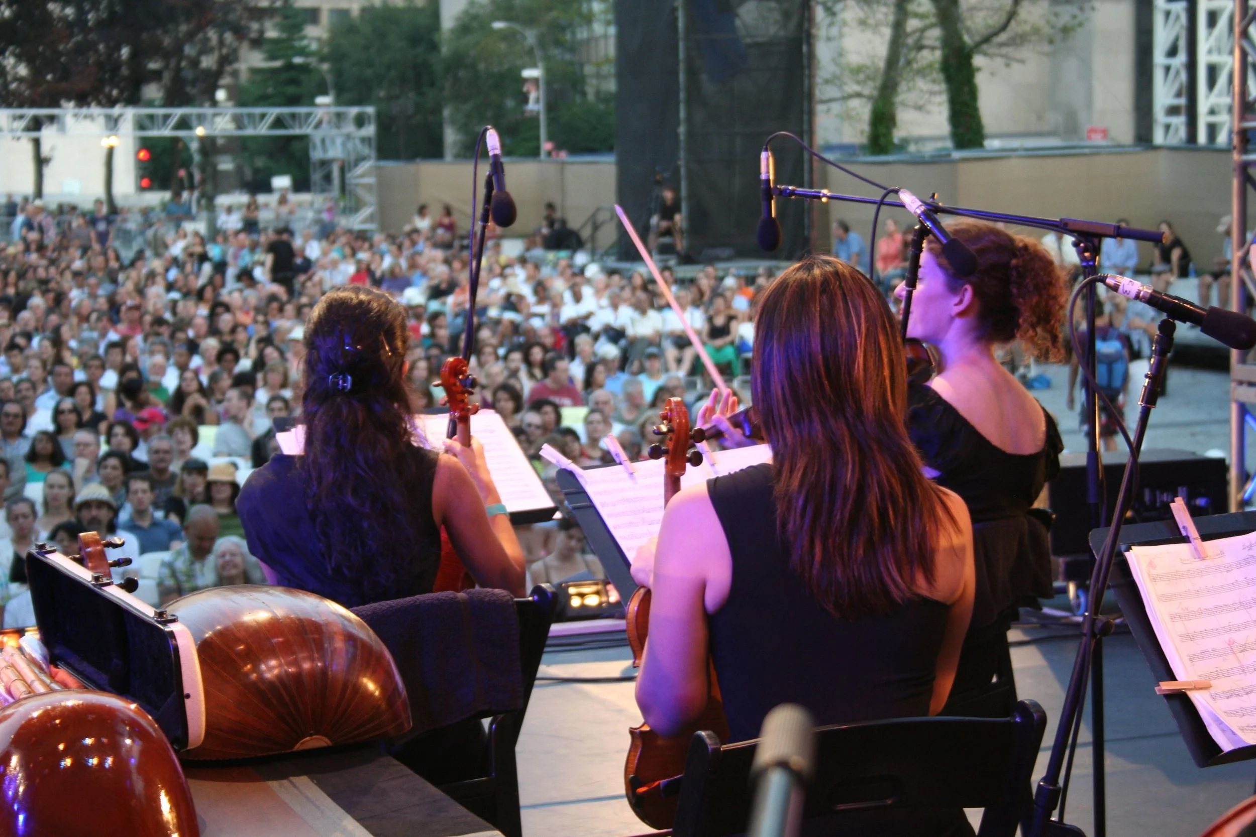 string section.jpg