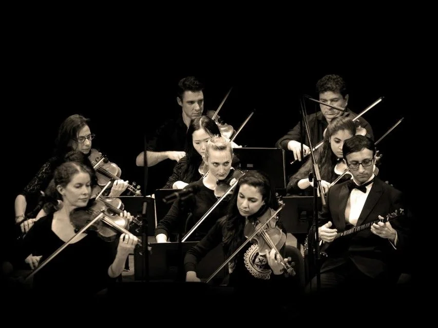 beautiful string section.jpg
