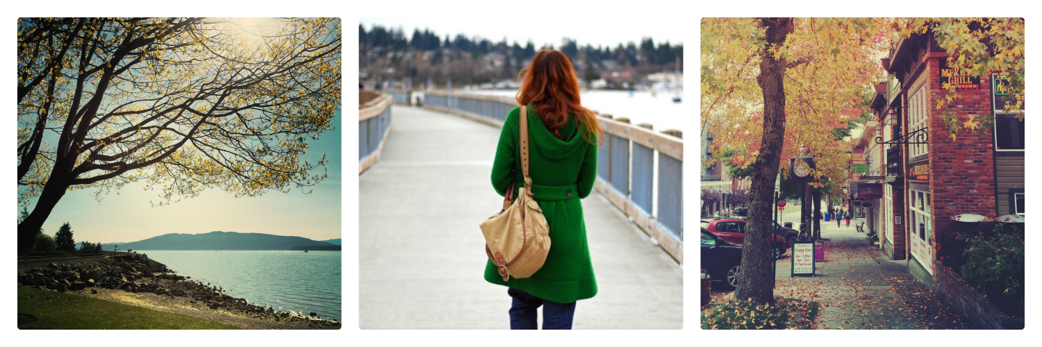 WhatcomWomensNetwork.jpg