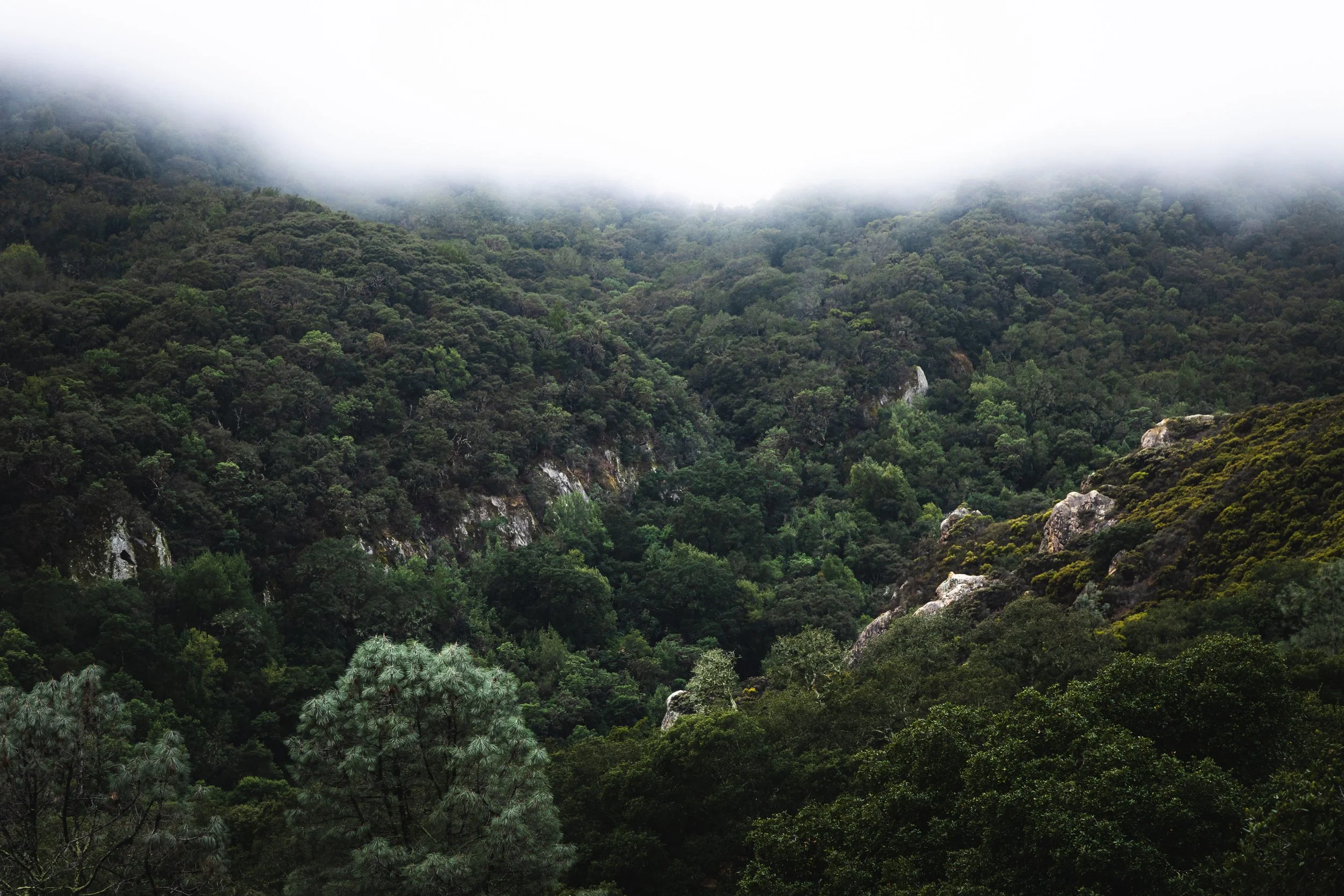 THE OTHER CAVE