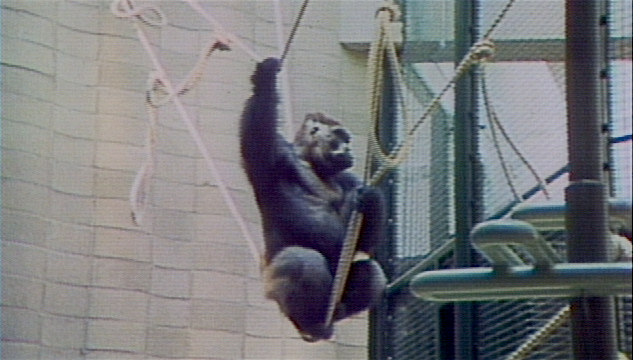 PHOTO_Otto_Screen Shot_thumbnail_1 .png