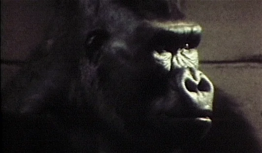 PHOTO_Otto_Screen Shot_thumbnail_3.2 (1).jpg