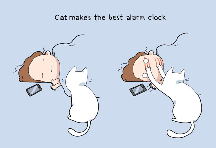 ImagE: funnyworm