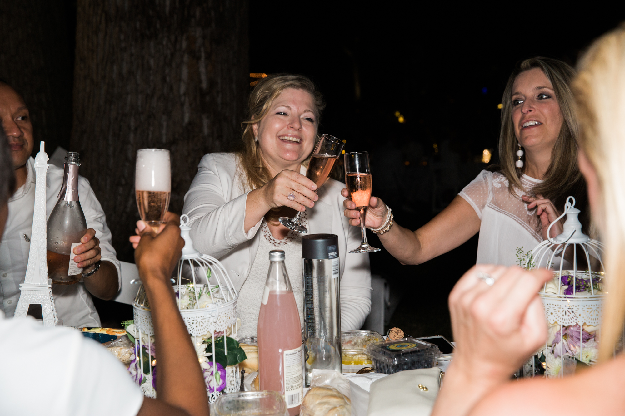Dinerenenblanc2017baltimore_-40.jpg
