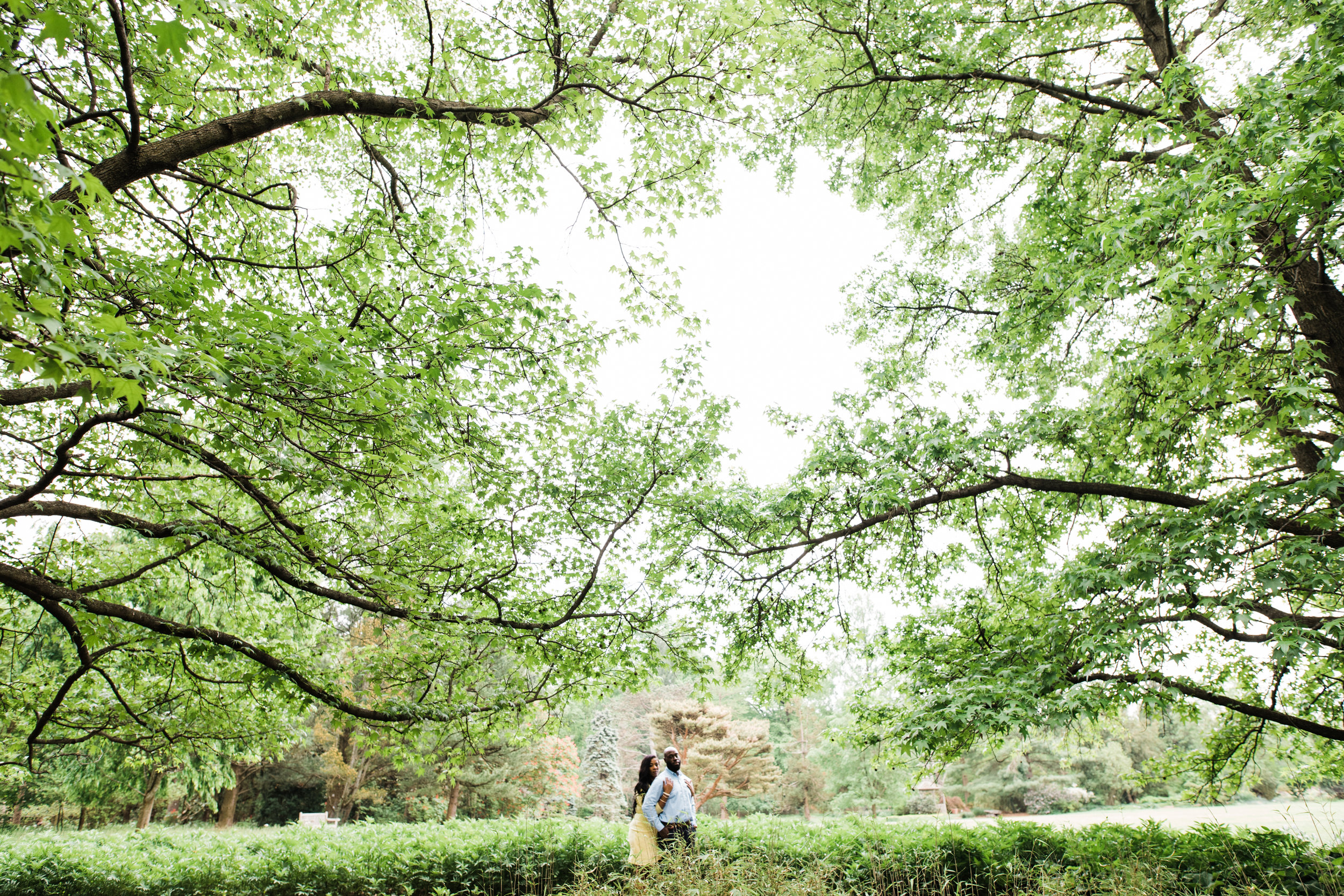 Cylburn Arboretum Wedding Photography  Megapixels Media Engagement Photographers-10.jpg