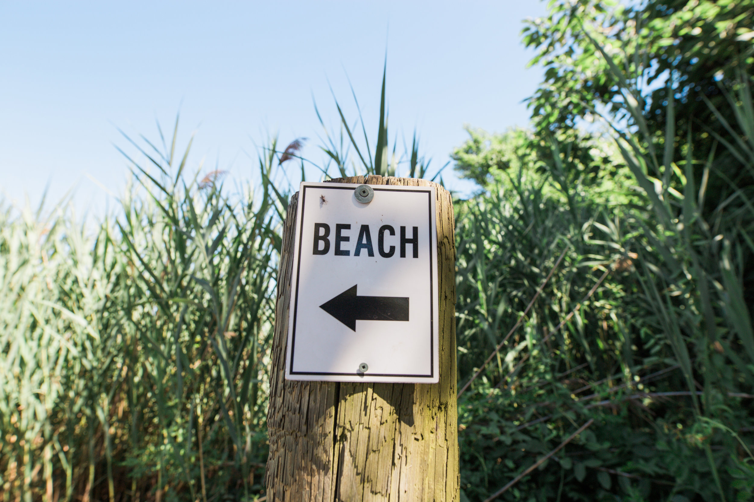 Kent Island Terrapin Beach Engagement Photography Megapixels Media Maryland Wedding-2.jpg