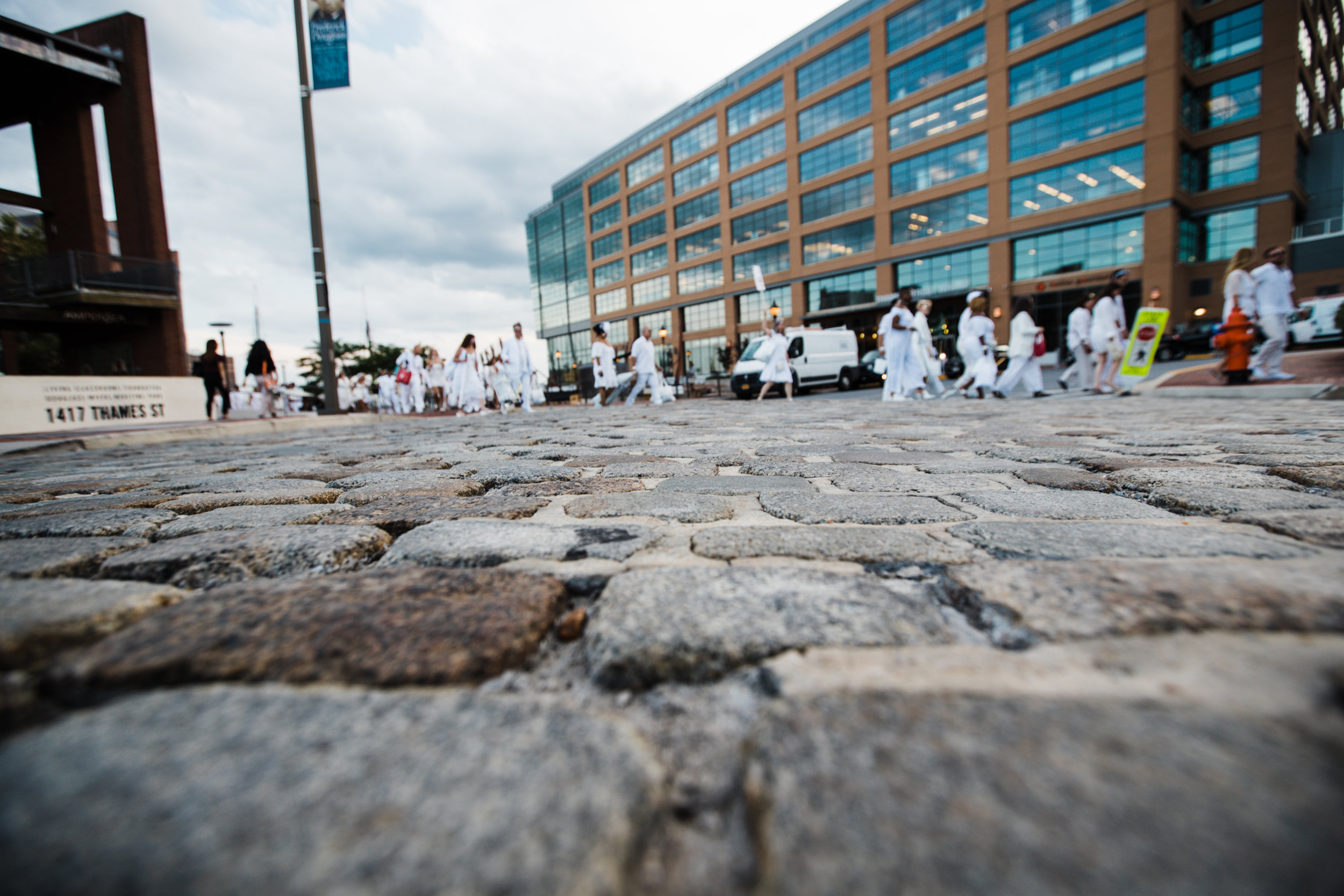 Diner En Blanc Baltimore Megapixels Media Photography-35.jpg