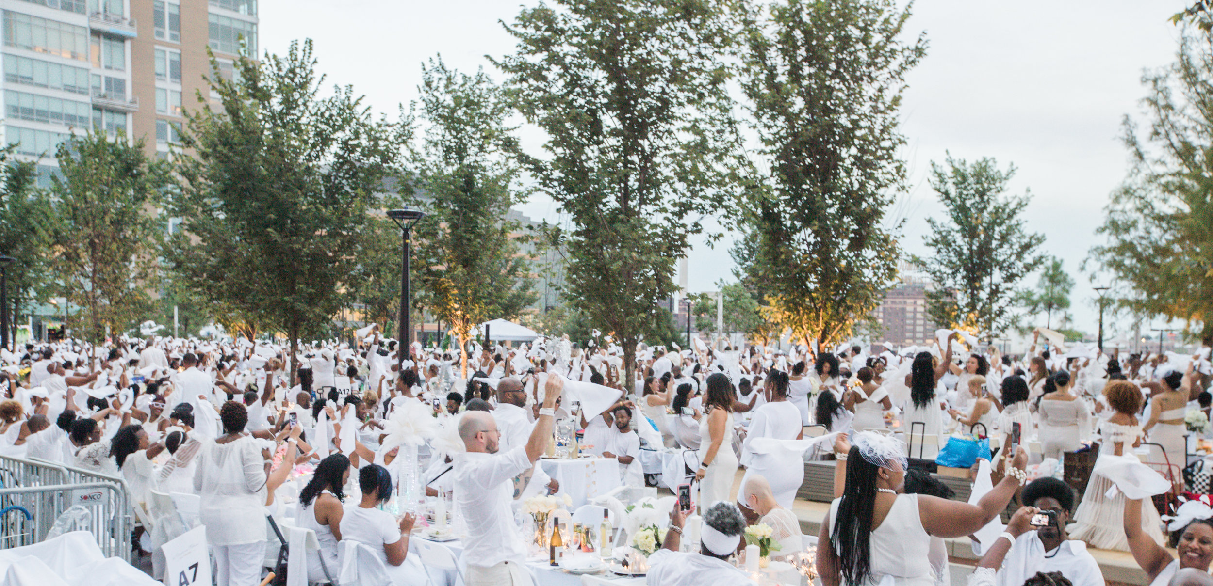 Diner En Blanc Baltimore Megapixels Media Photography-39.jpg