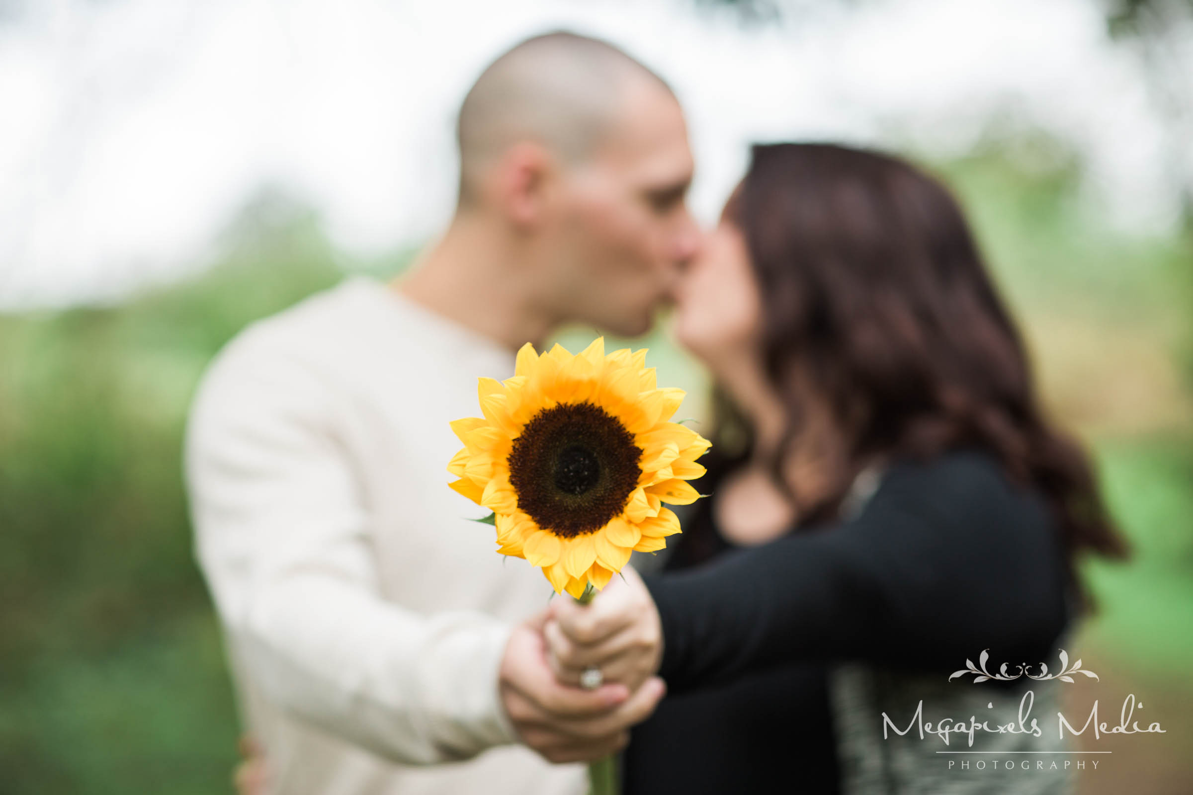 Sunflower Engagement Session at Cromwell Valley Park Baltimore Wedding Photographers Megapixels Media (8 of 31).jpg