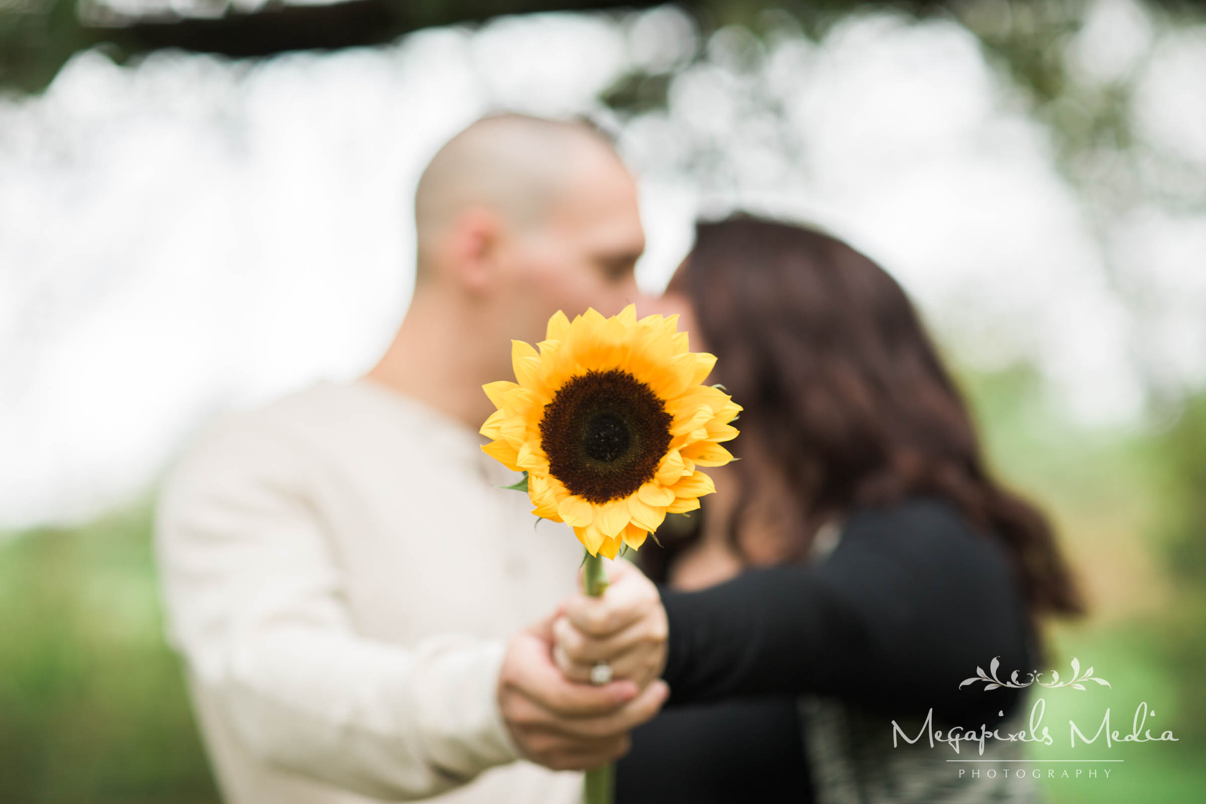 Sunflower Engagement Session at Cromwell Valley Park Baltimore Wedding Photographers Megapixels Media (9 of 31).jpg