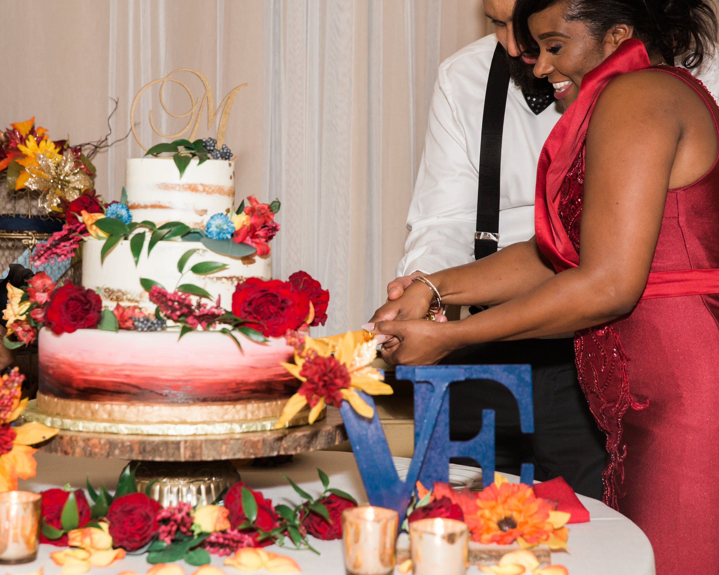 Multicultural wedding at The Belvedere in Baltimore Maryland Black Bride Indian wedding Megapixels Media Photography (77 of 90).jpg