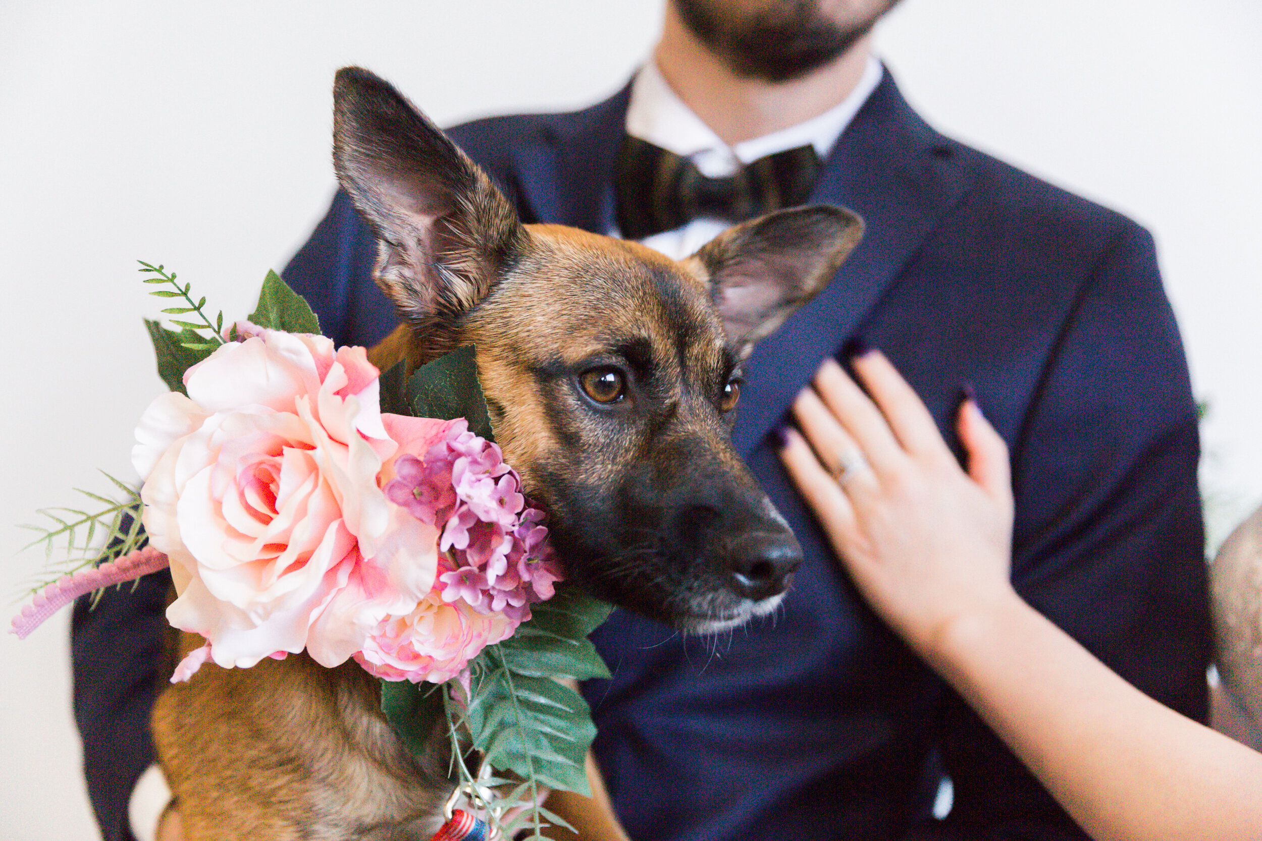 haven street ballroom wedding with puppies best baltimore photographers megapixels media photography-6.jpg