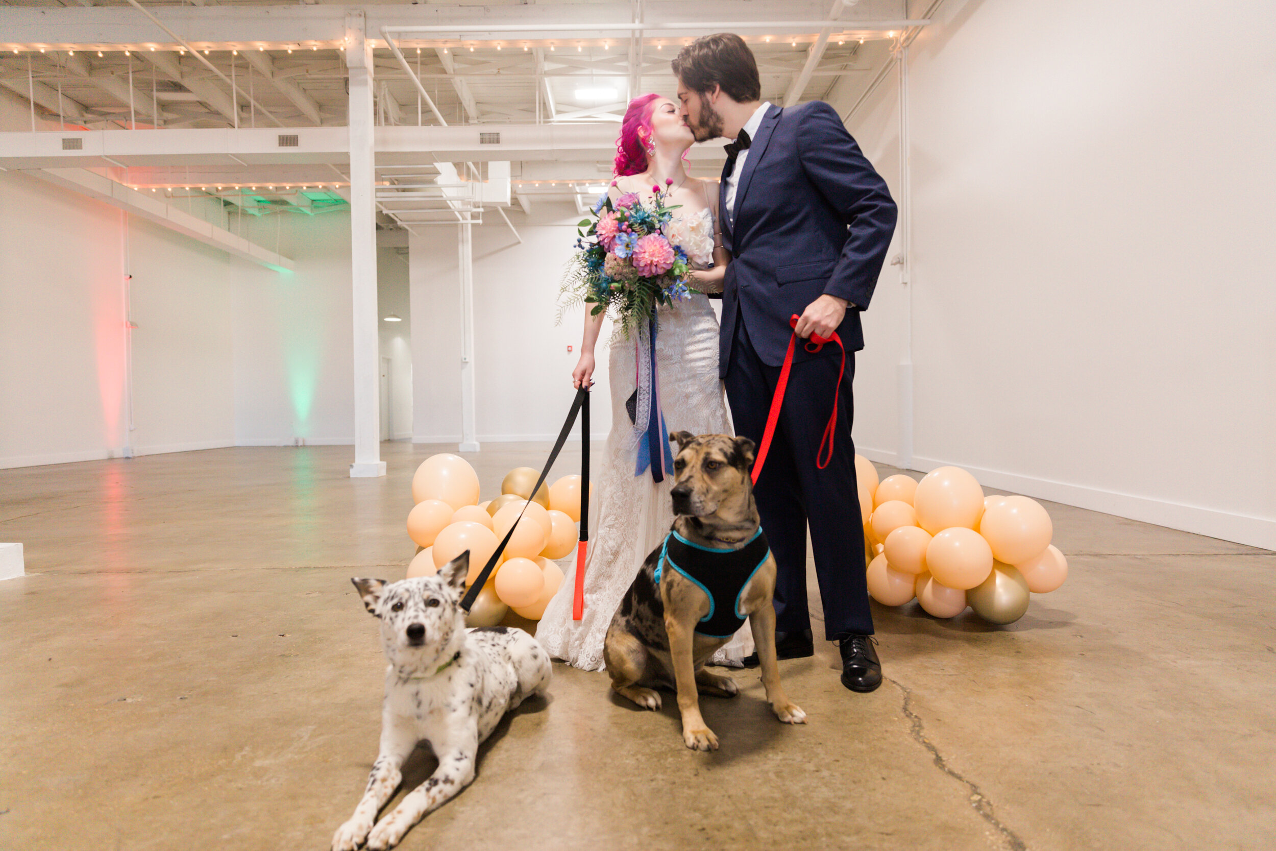 haven street ballroom wedding with puppies best baltimore photographers megapixels media photography-71.jpg