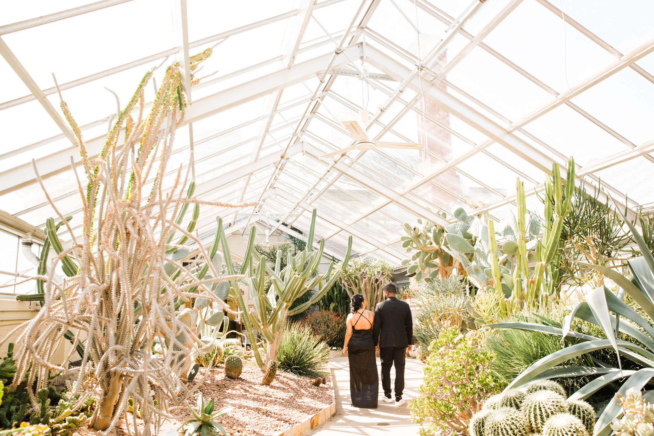 Best Wedding Photographers in Baltimore Free Engagement Session Maryland Megapixels Media Photography Rawlings Conservatory Engagement Photos Black Dress Black Couple in Love-10.jpg
